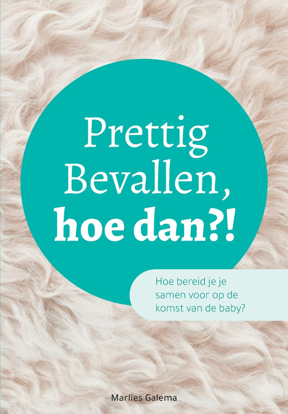 Prettig Bevallen, hoe dan?! - Samen voorbereiden op de bevalling én de komst van de baby book
