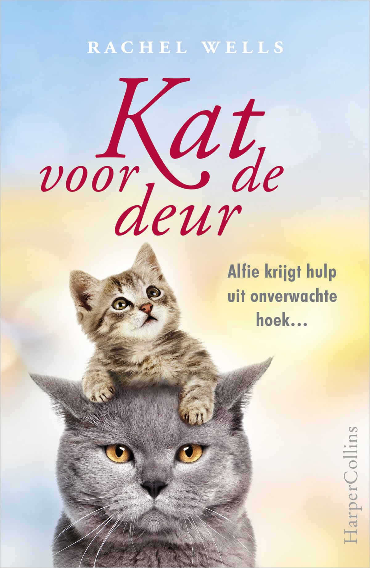 Kat voor de deur: Alfie krijgt hulp uit onverwachte hoek... book