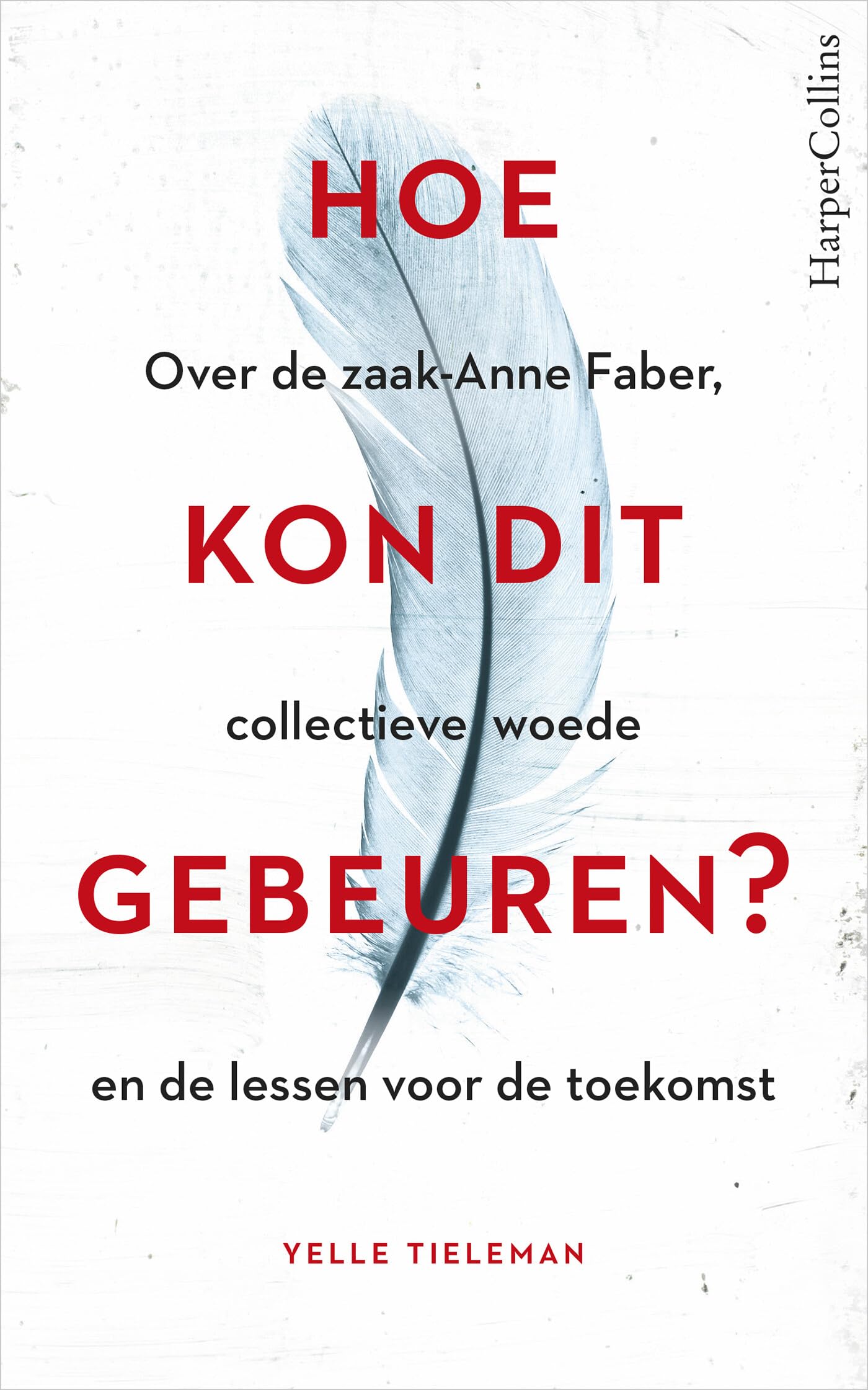 Hoe kon dit gebeuren?: over de zaak Anne Faber, collectieve woede en de lessen voor de toekomst Psychology