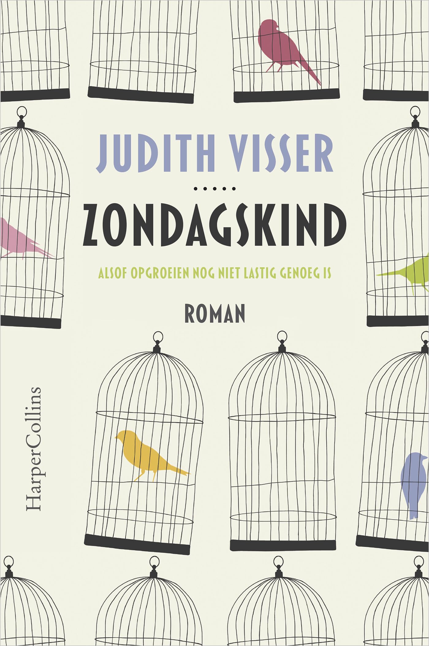 Zondagskind Contemporary literature Books