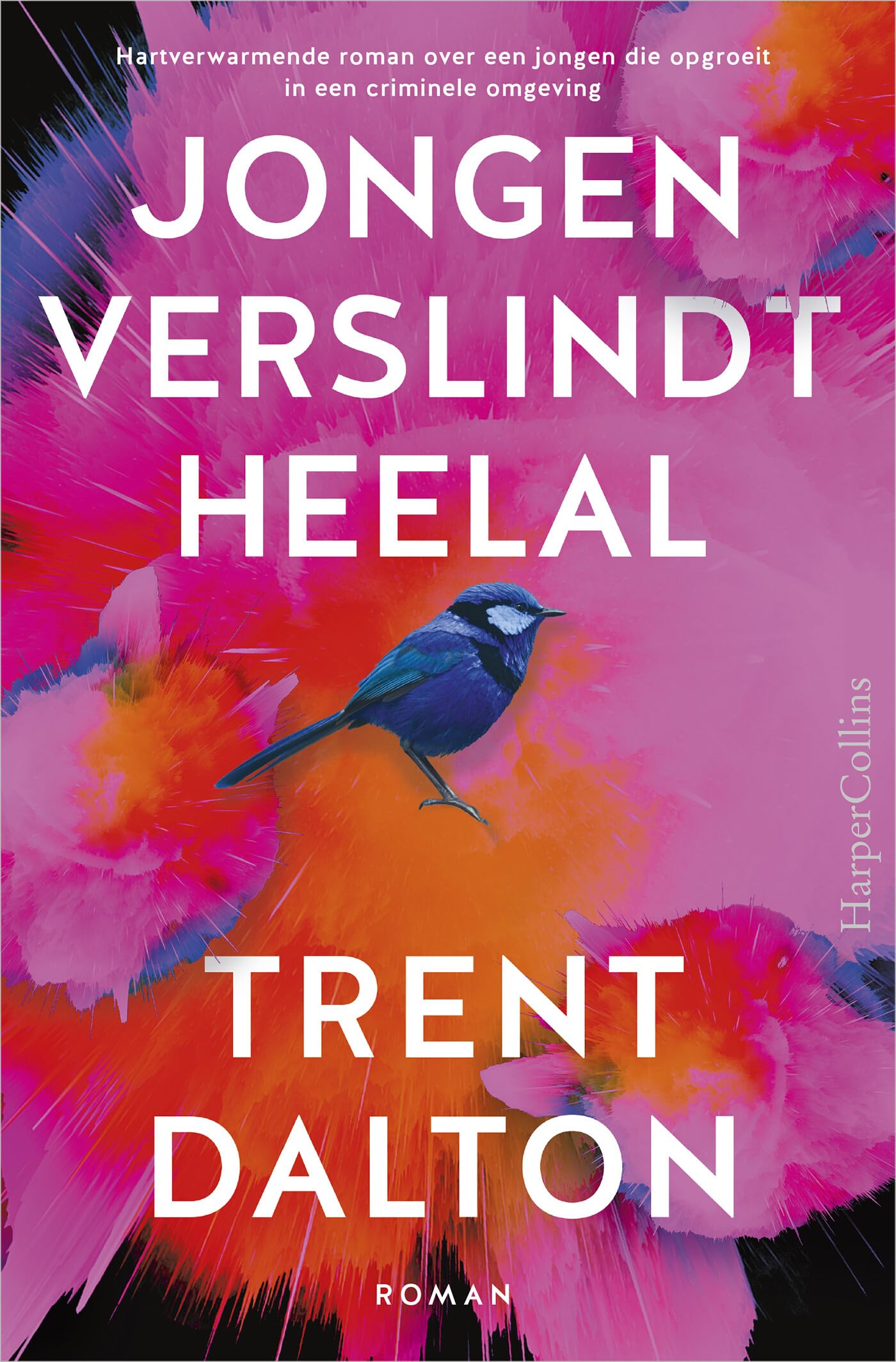 Jongen verslindt heelal book