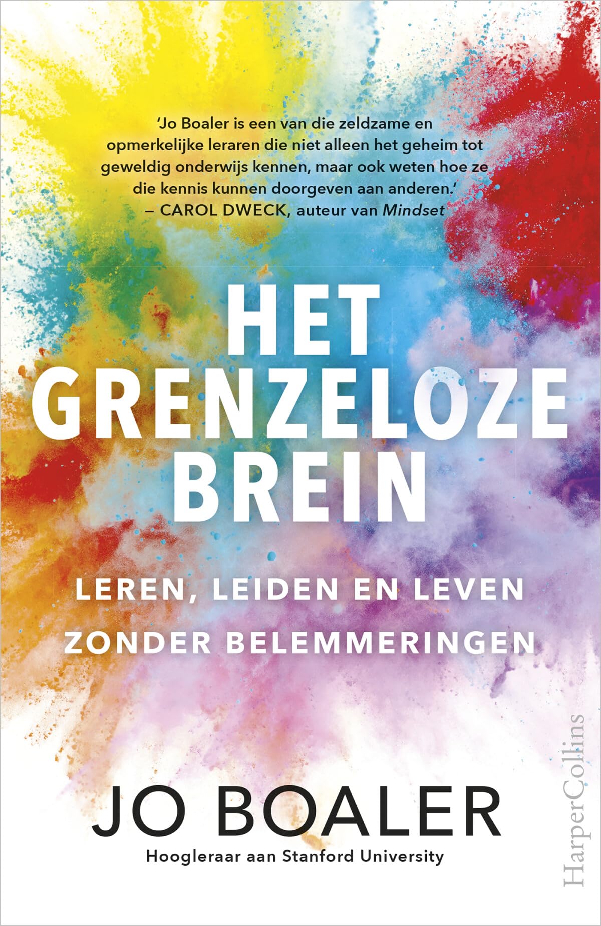 Het grenzeloze brein: leren, leiden en leven zonder belemmeringen book