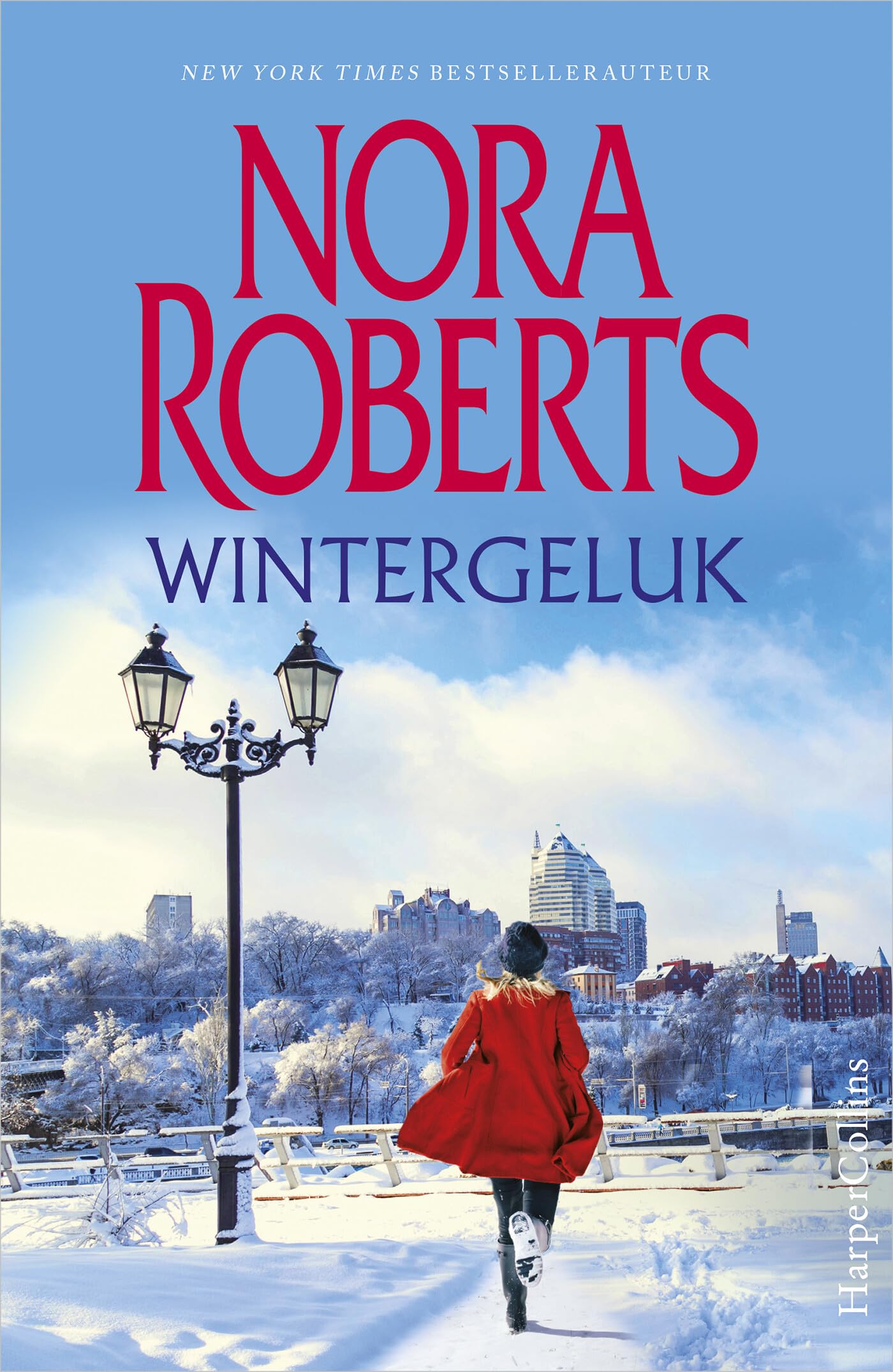 Wintergeluk Contemporary literature Books