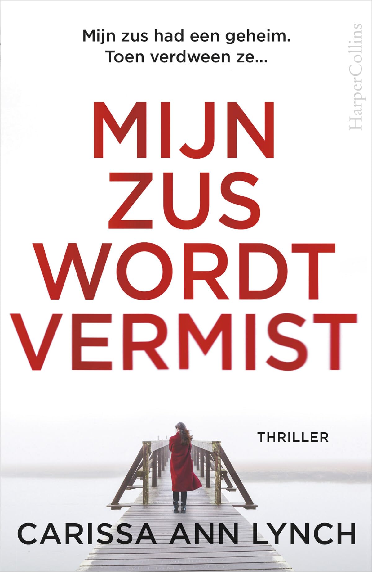 Mijn zus wordt vermist book