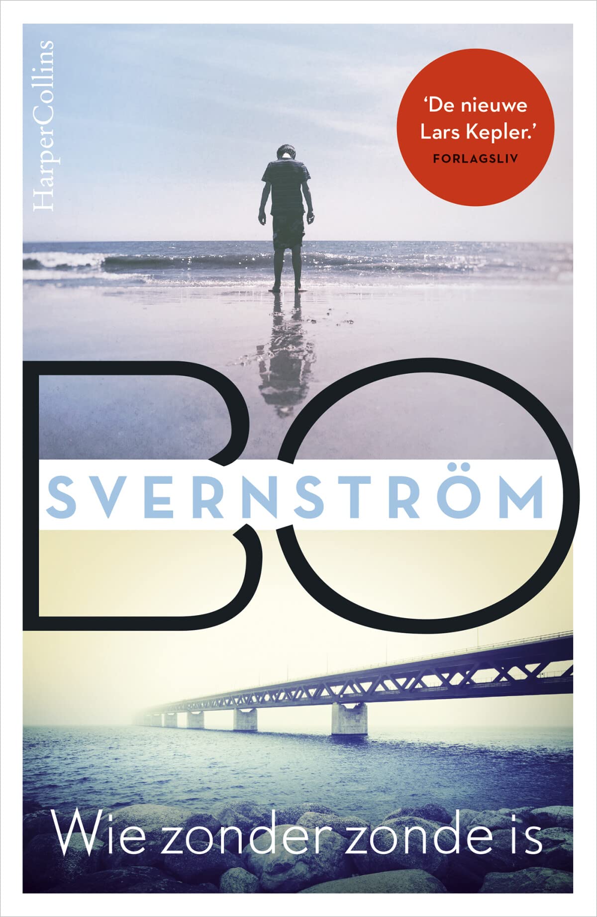 Wie zonder zonde is book