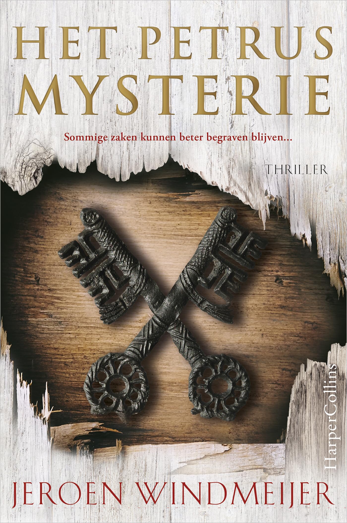 Het Petrusmysterie: thriller Action & Adventure