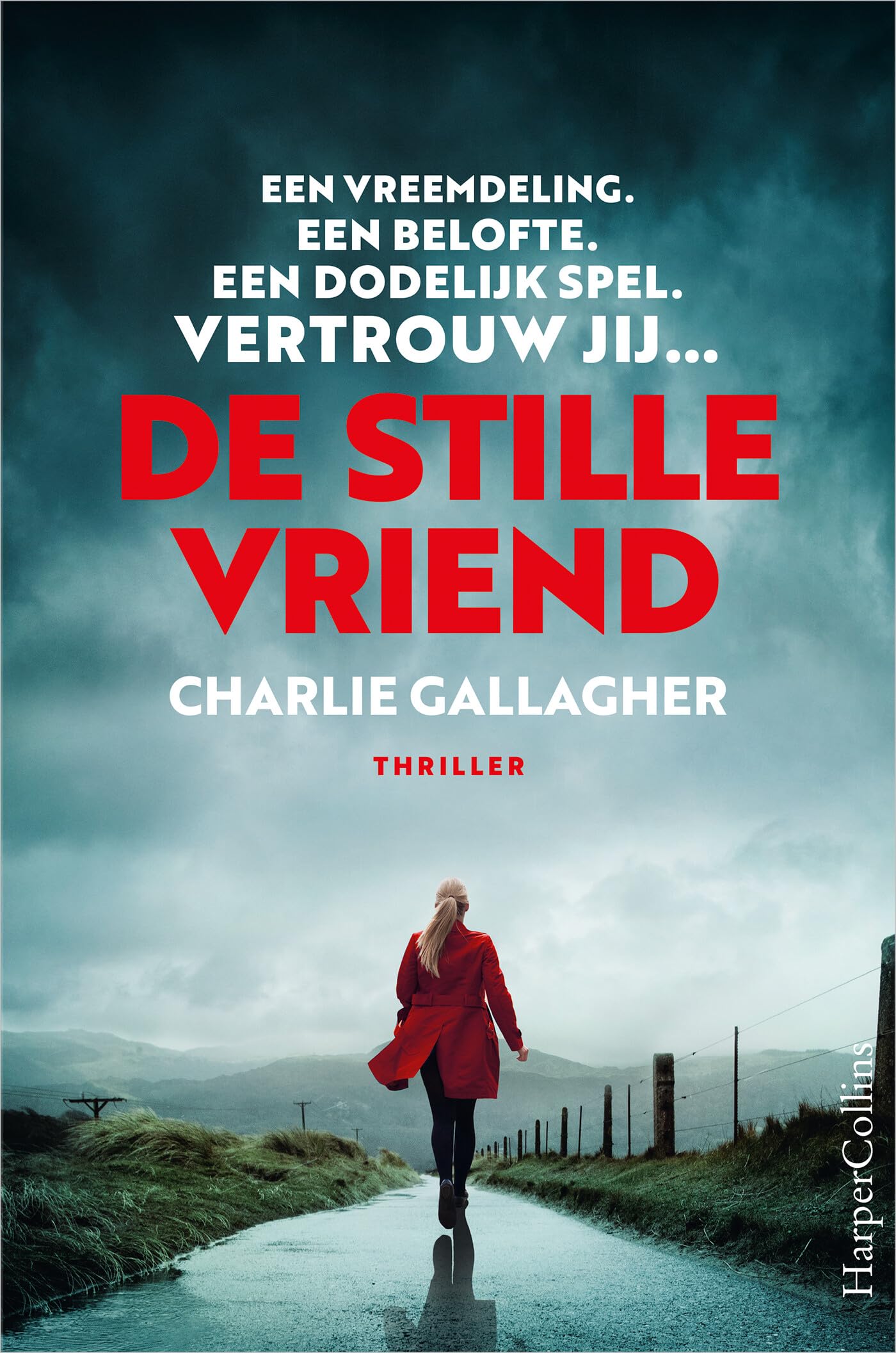 De stille vriend: Een vreemdeling. Een belofte. Een dodelijk spel. book