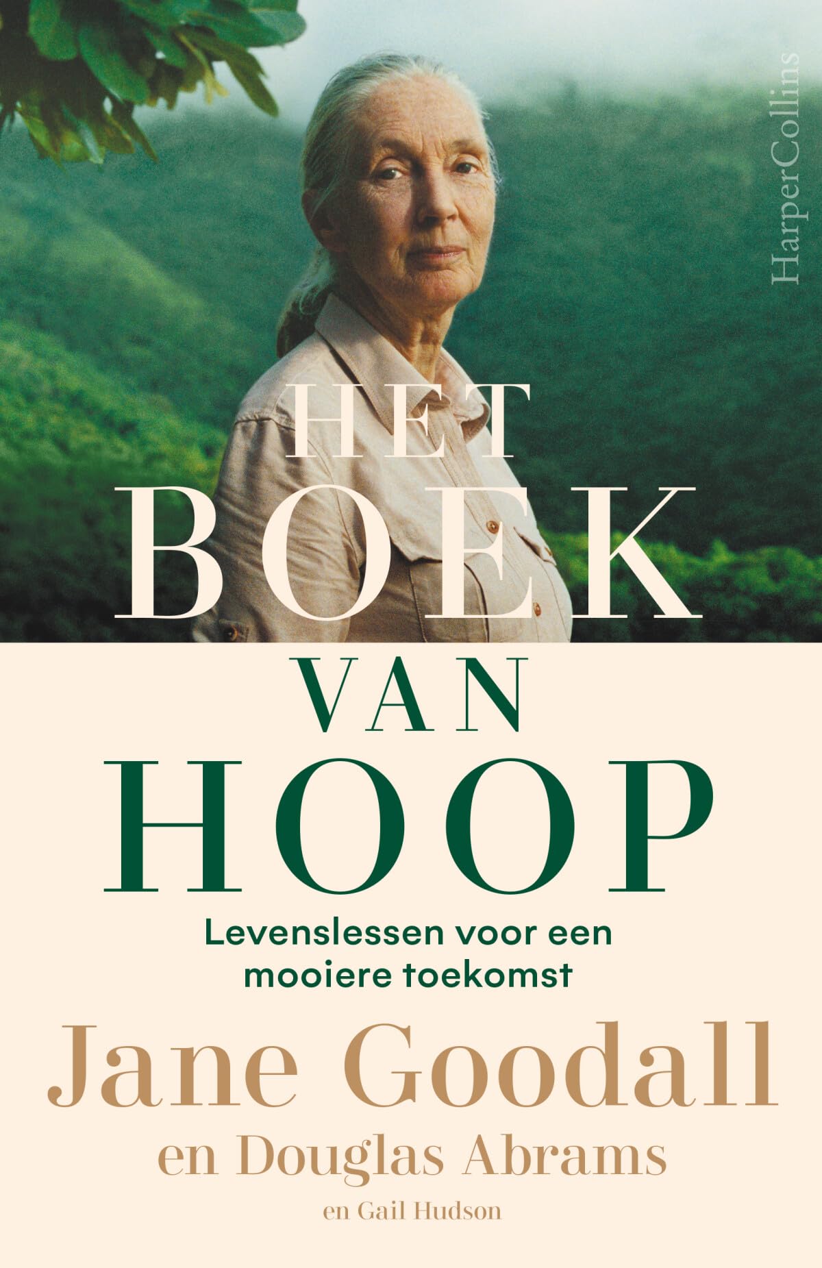 Het boek van hoop: levenslessen voor een mooiere toekomst book