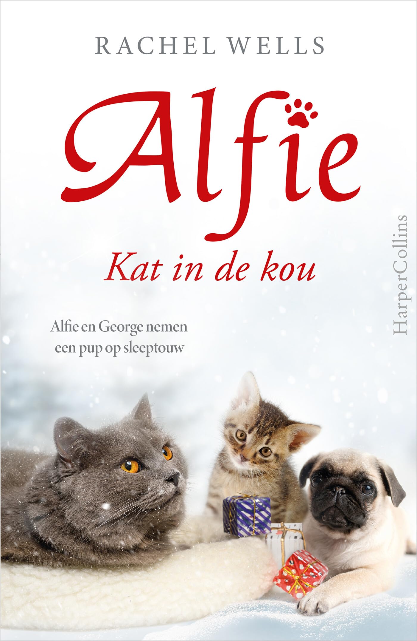 Kat in de kou: Alfie en George nemen een pup op sleeptouw Contemporary literature
