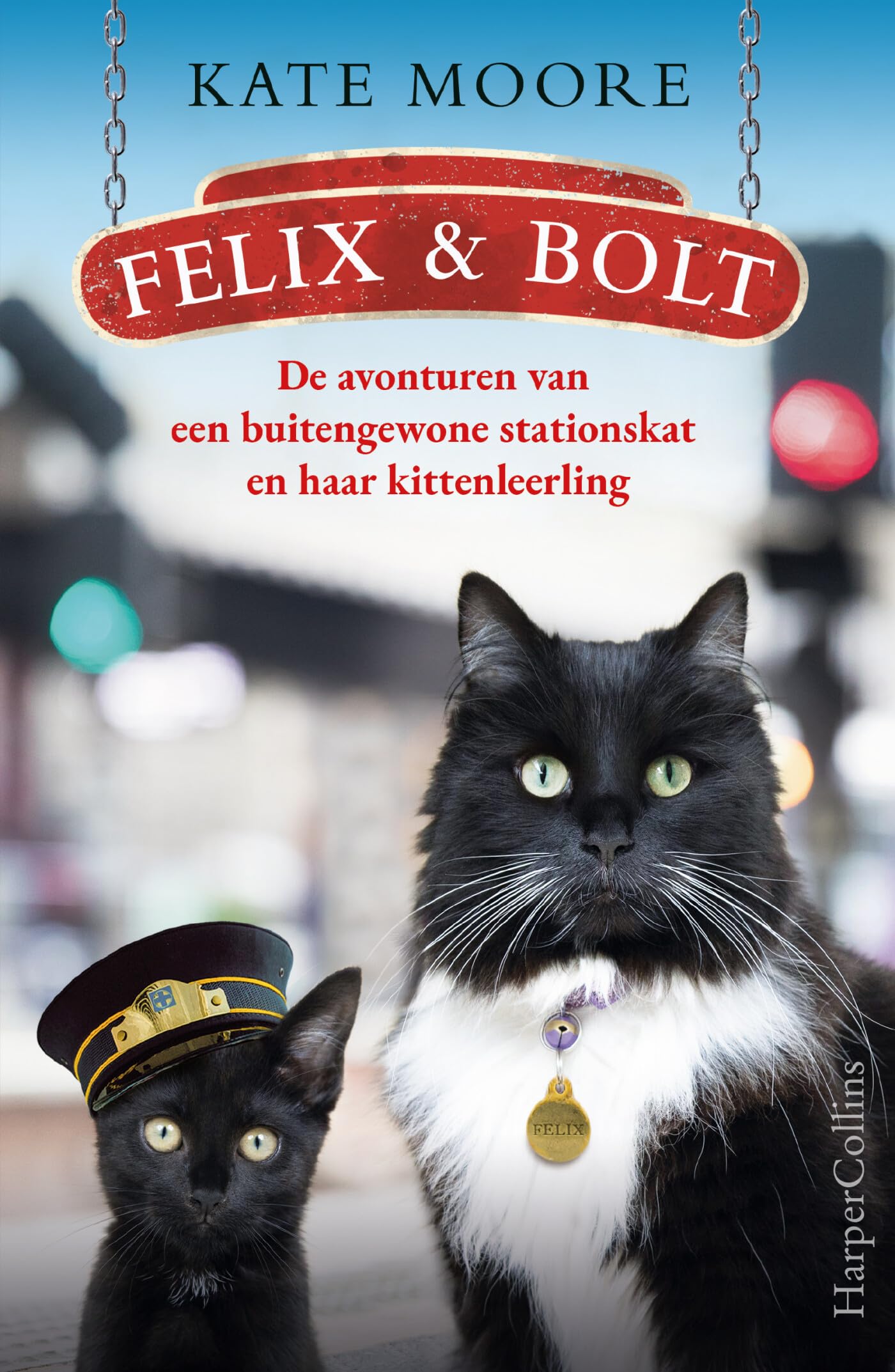Felix & Bolt: De avonturen van een buitengewone stationskat en haar kittenleerling Contemporary literature