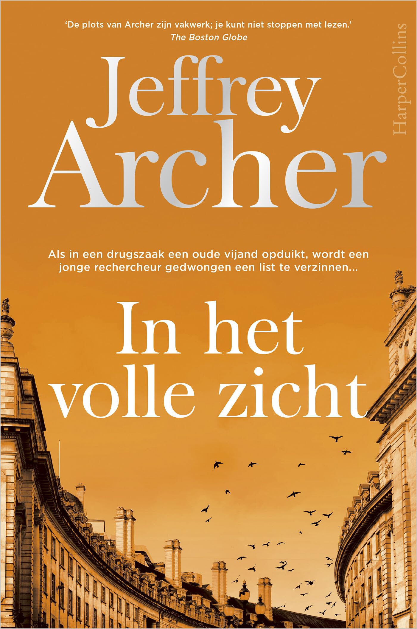 In het volle zicht: Als in een drugszaak een oude vijand opduikt, wordt een jonge rechercheur gedwongen een list te verzinnen... (William Warwick, 2) Contemporary literature Books