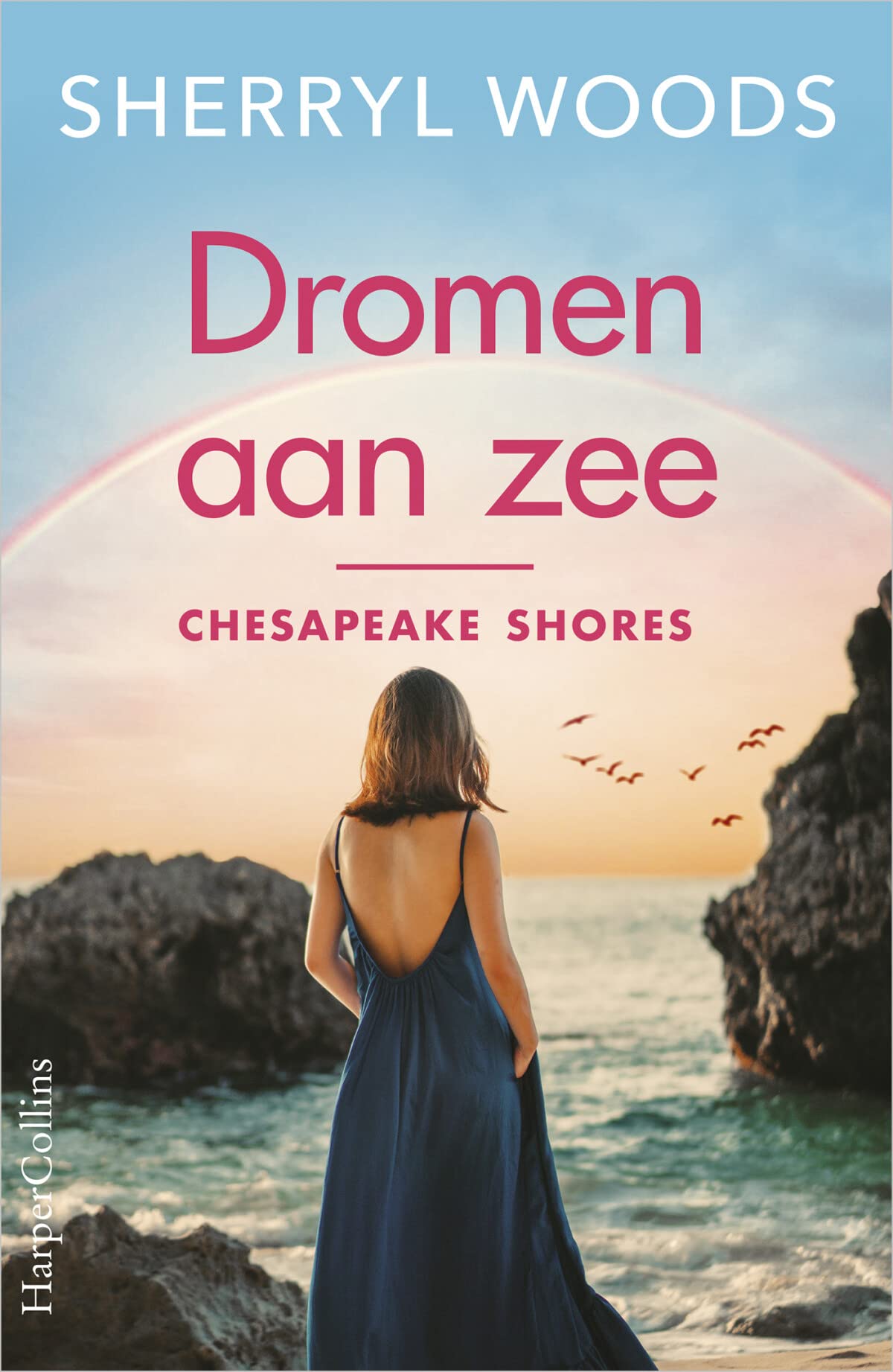 Dromen aan zee (Chesapeake shores, 1) Contemporary literature