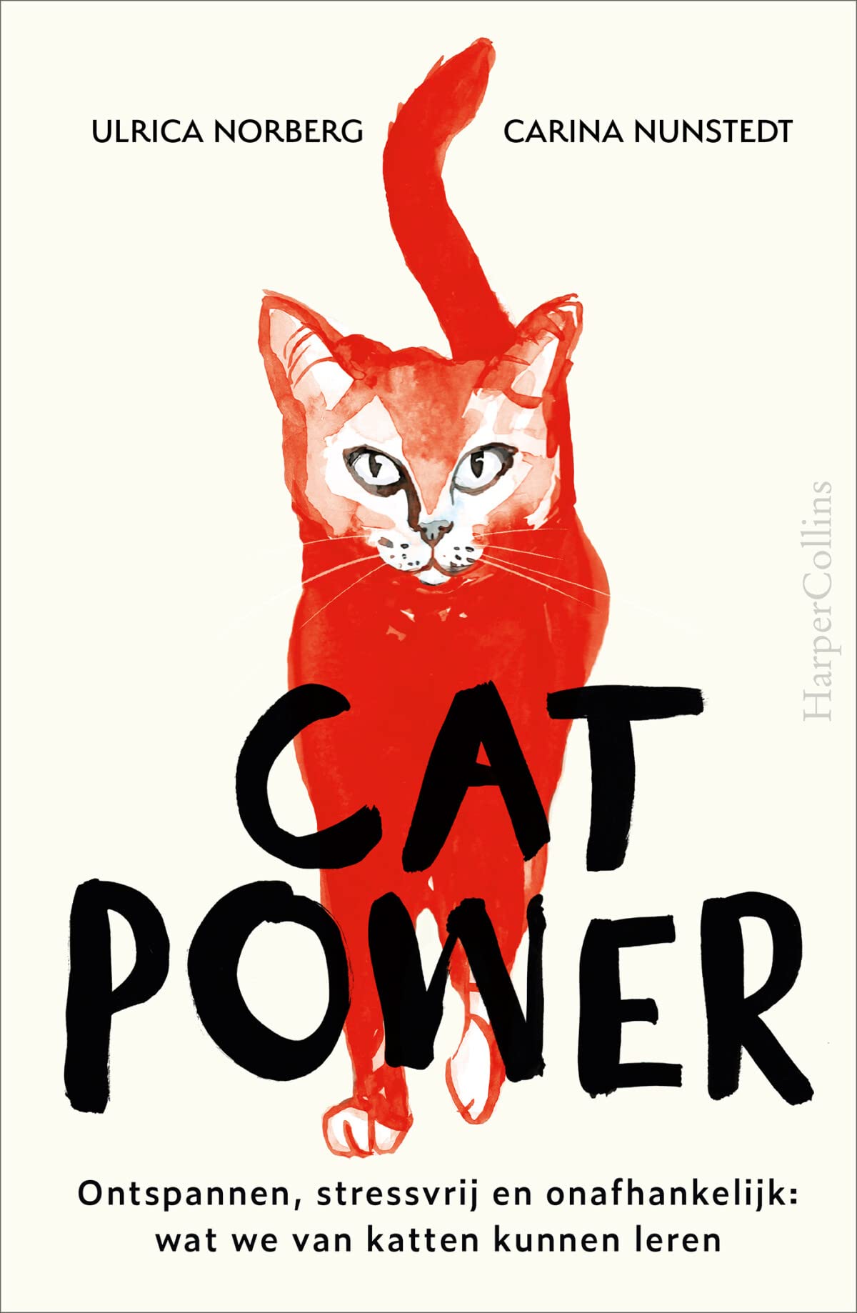 Cat power: ontspannen, stressvrij en onafhankelijk : wat we van katten kunnen leren book