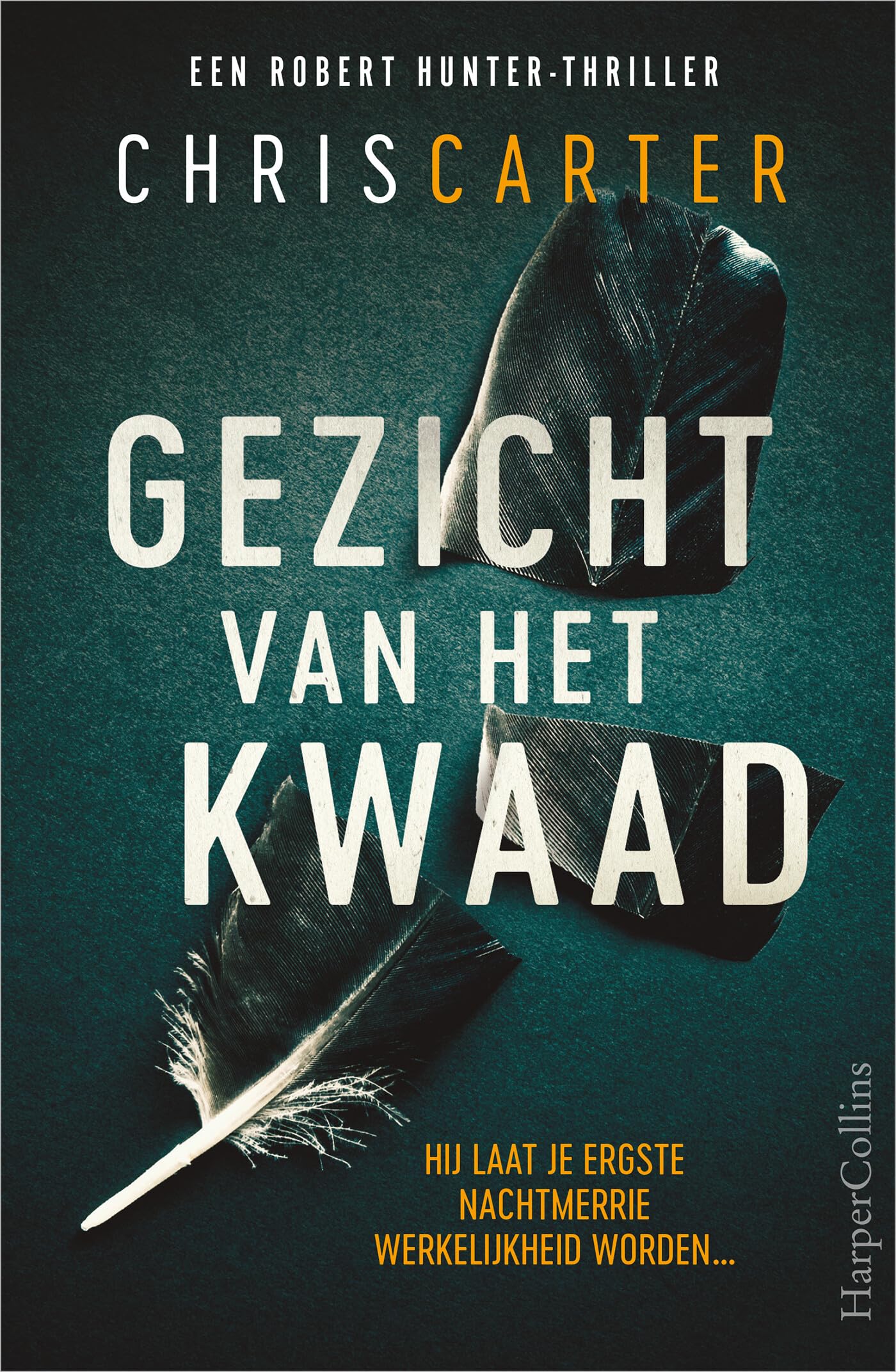 Gezicht van het kwaad: Hij laat je ergste nachtmerrie werkelijkheid worden... (Robert Hunter, 2) Action & Adventure
