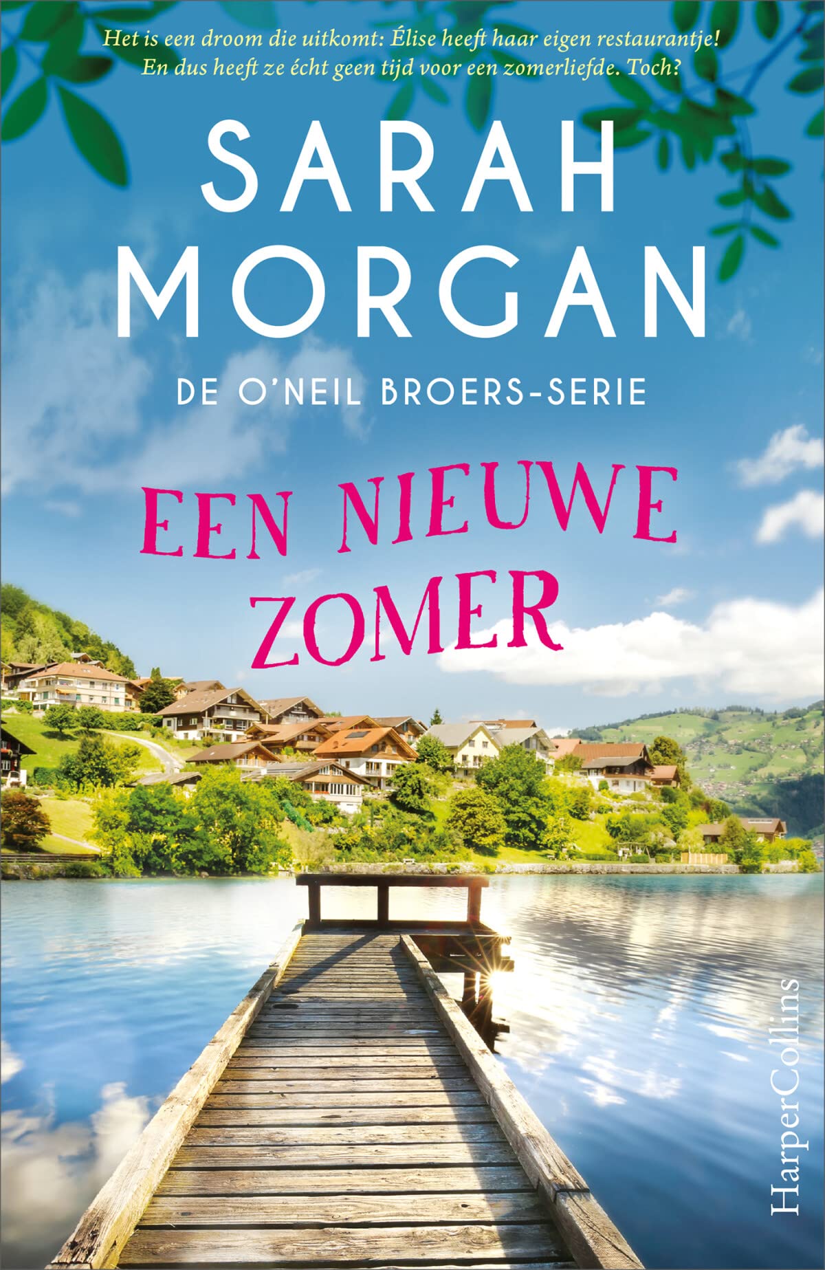 Een nieuwe zomer (De O'Neil broers, 2) Contemporary literature