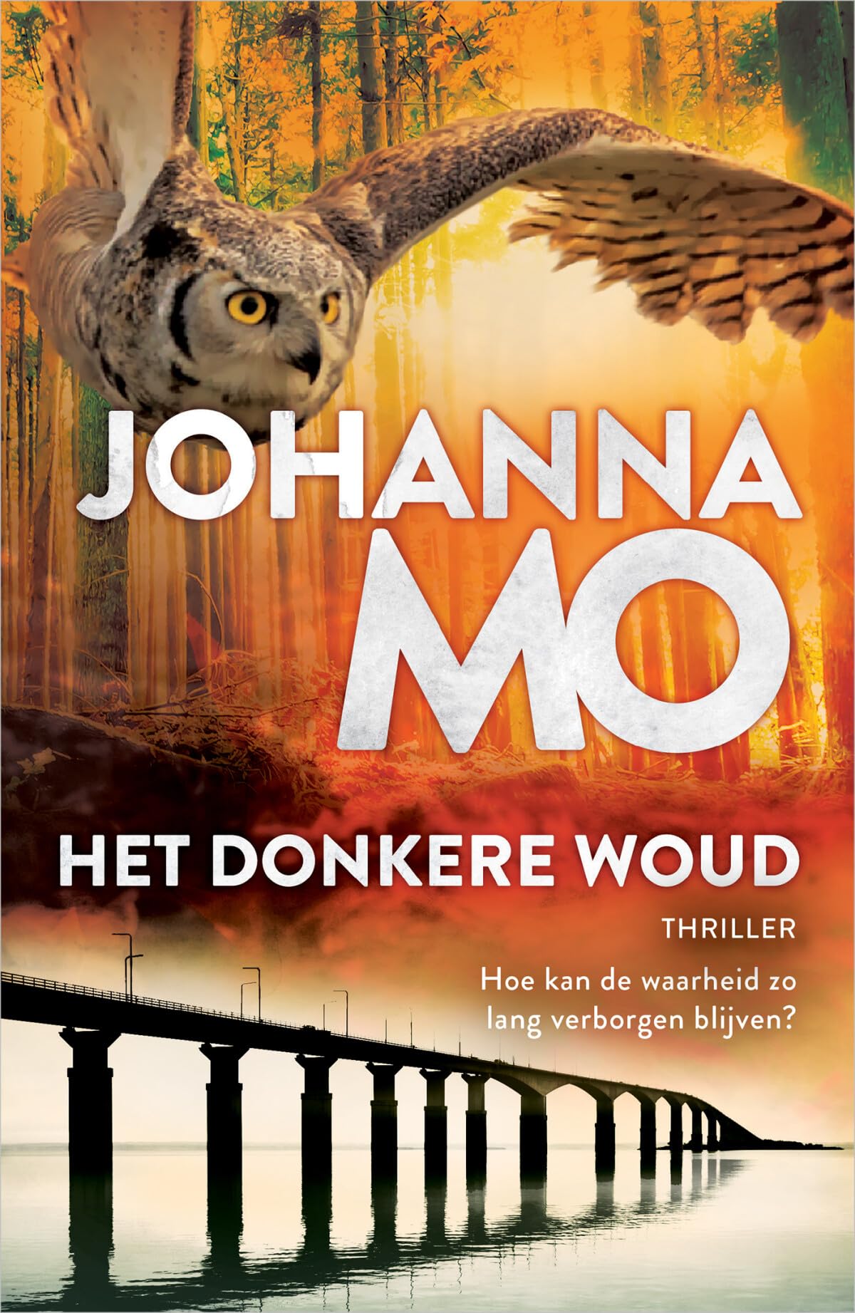 Het donkere woud: Hoe kan de waarheid zo lang verborgen blijven? (De Eilandmoorden, 3) Action & Adventure