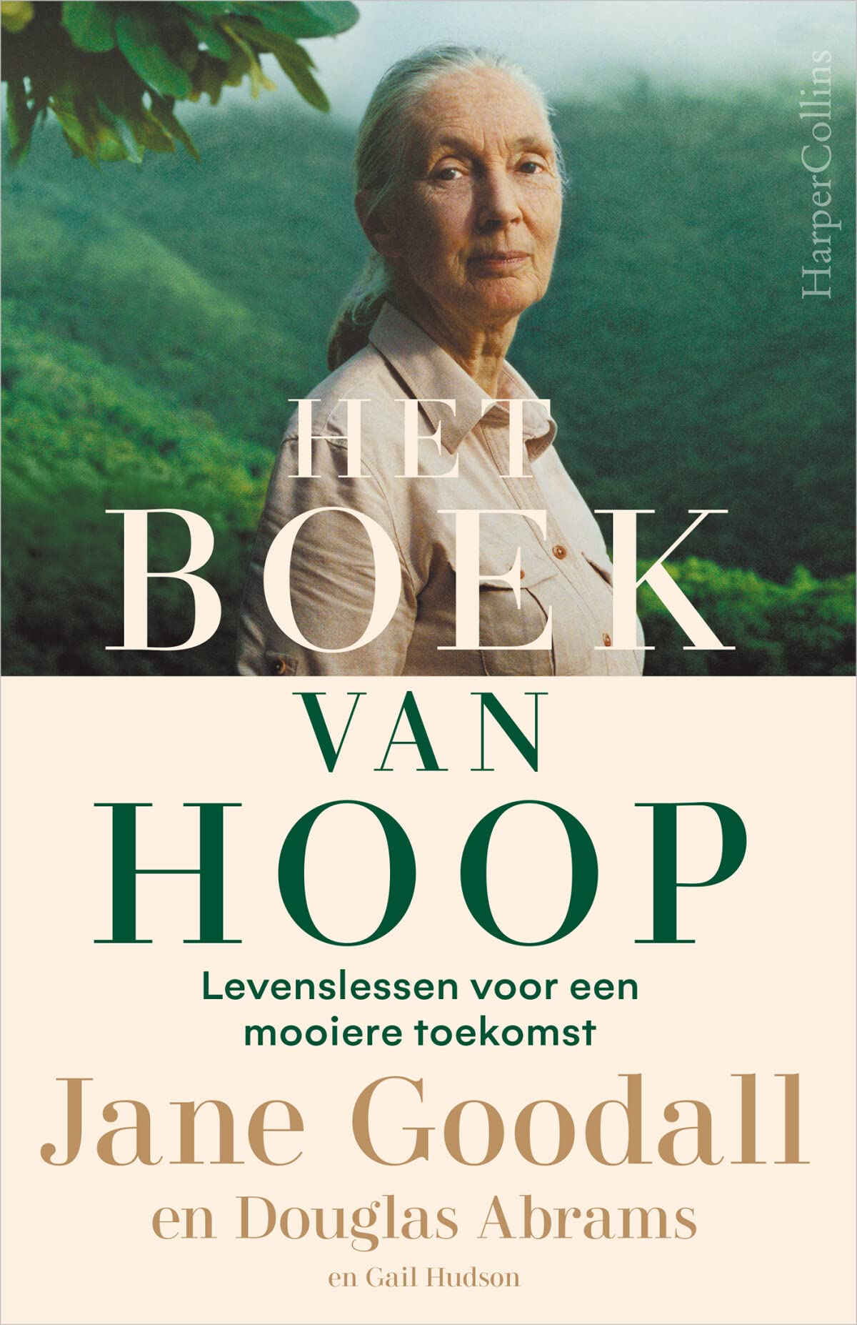 Het boek van hoop: levenslessen voor een mooiere toekomst book