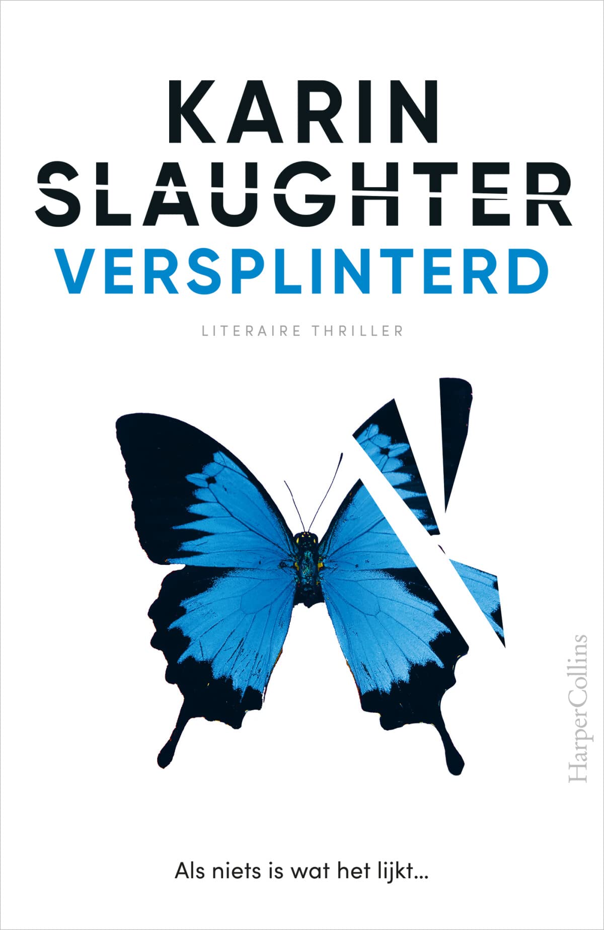 Versplinterd: Als niets is wat het lijkt... (Will Trent, 2) Action & Adventure