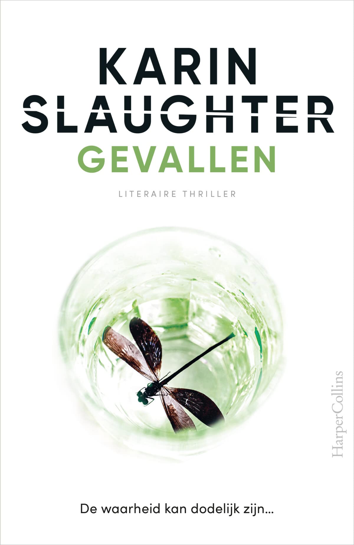 Gevallen: De waarheid kan dodelijk zijn... (Will Trent, 5) Action & Adventure