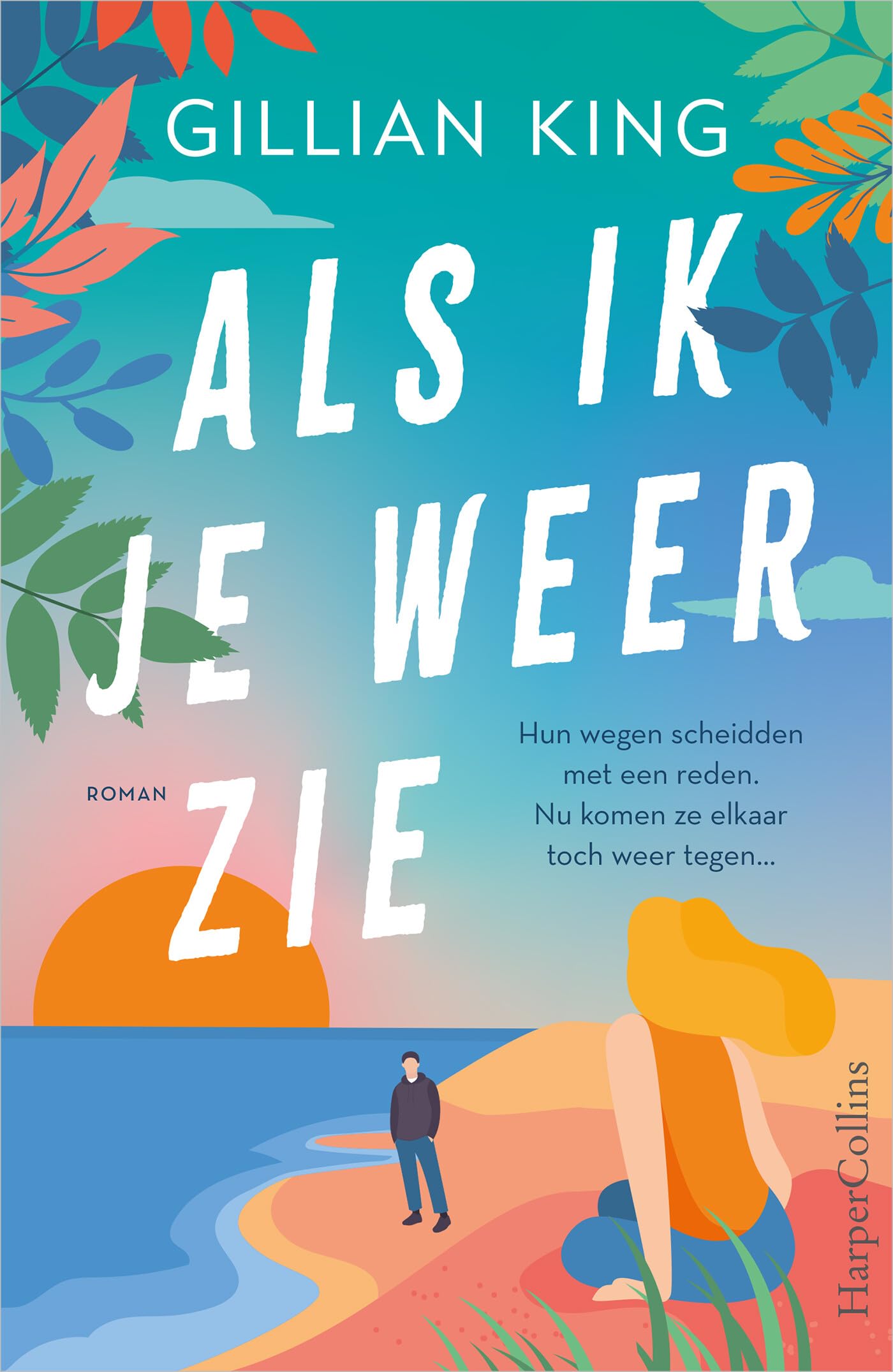 Als ik je weer zie: Hun wegen scheidden met een reden. Nu komen ze elkaar toch weer tegen. Contemporary literature