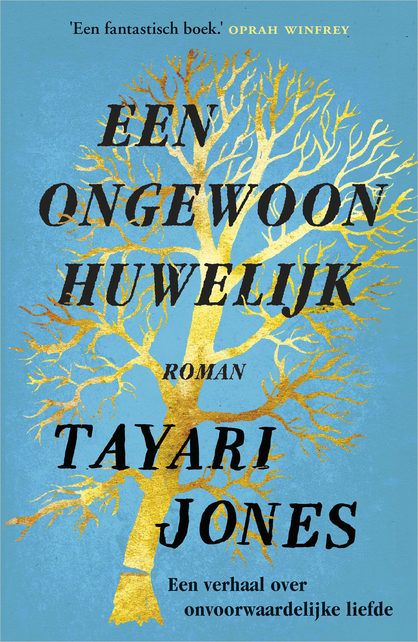 Een ongewoon huwelijk Contemporary literature
