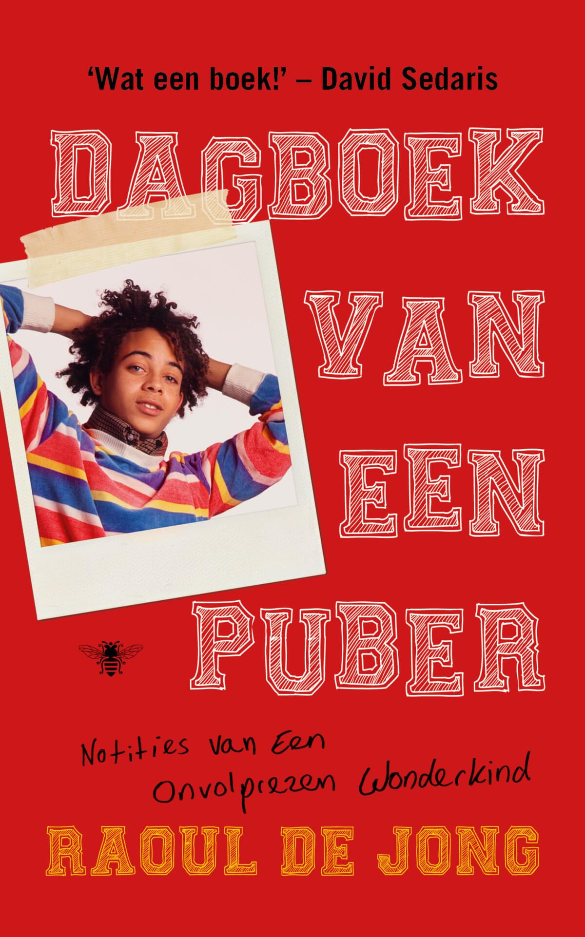 Dagboek van een puber: notities van een onvolprezen wonderkind book