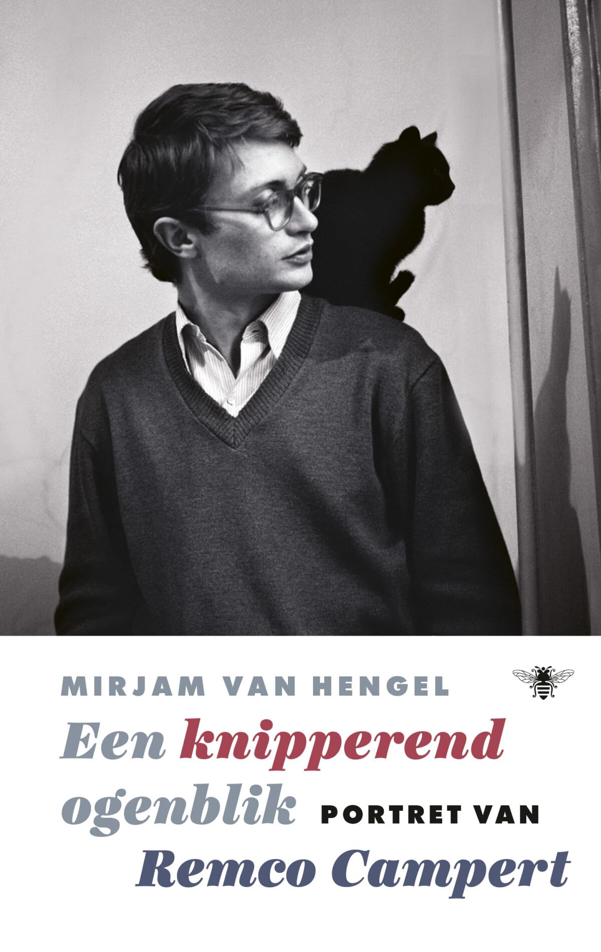 Een knipperend ogenblik: portret van Remco Campert book