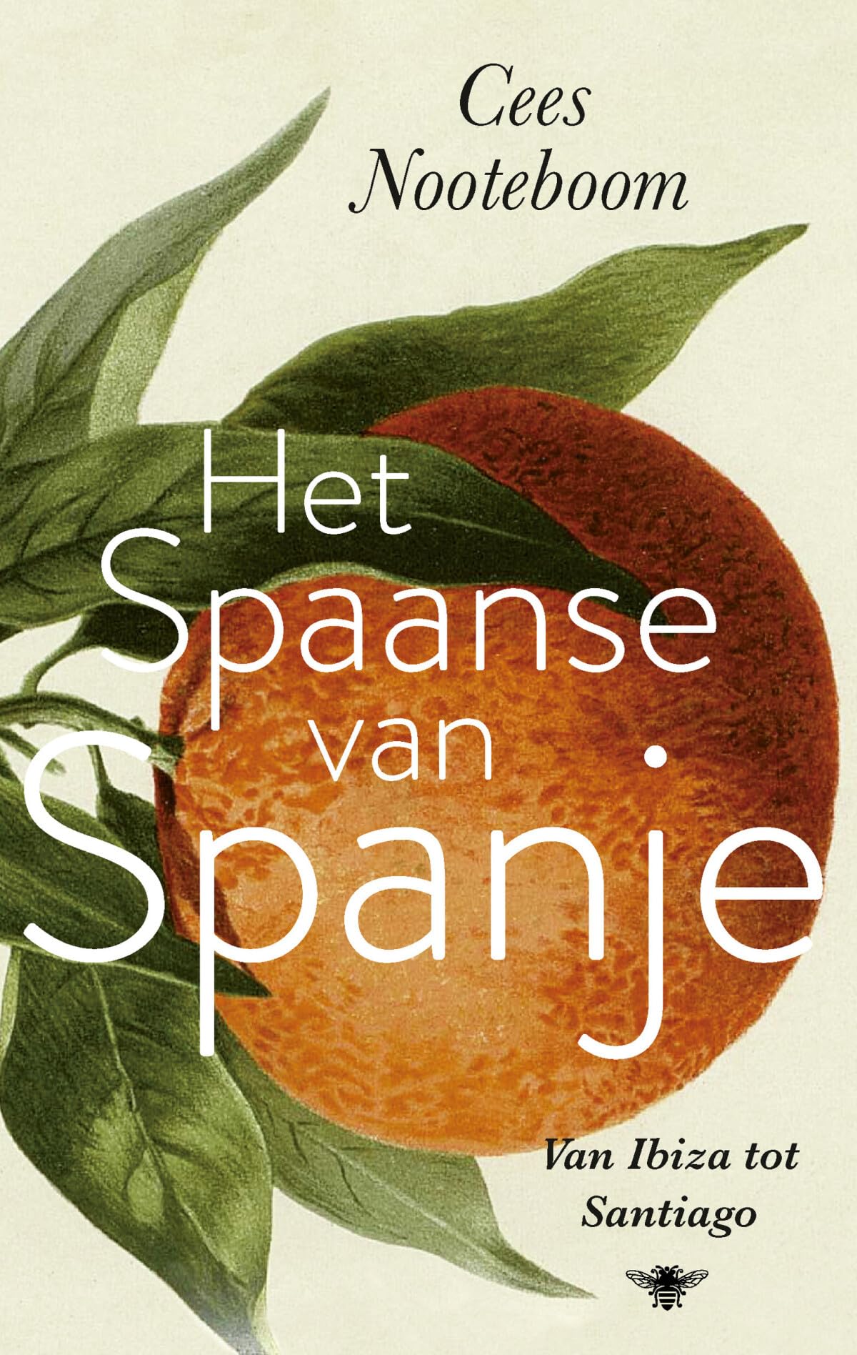 Het Spaanse van Spanje: van Ibiza tot Santiago book
