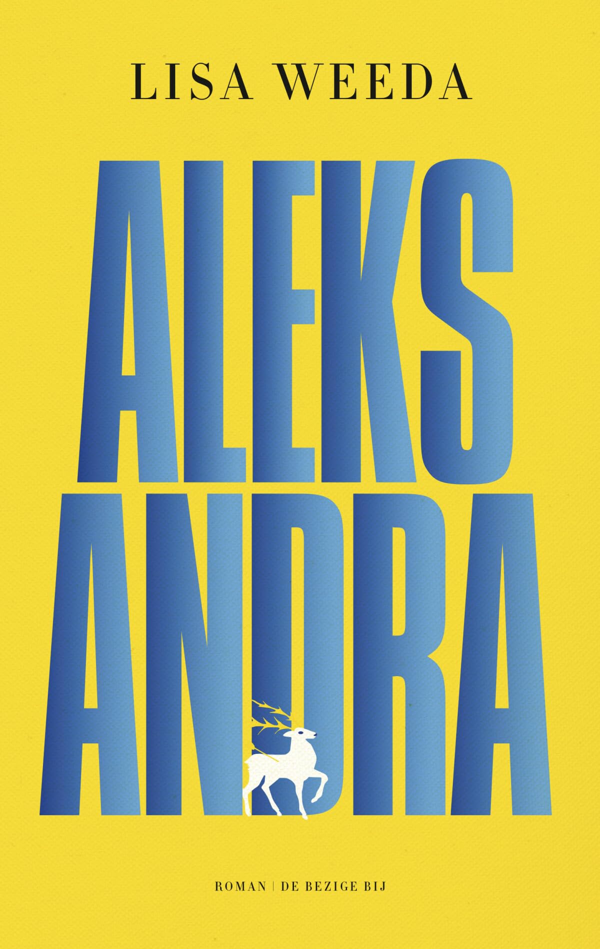 Aleksandra: roman Contemporary literature Books