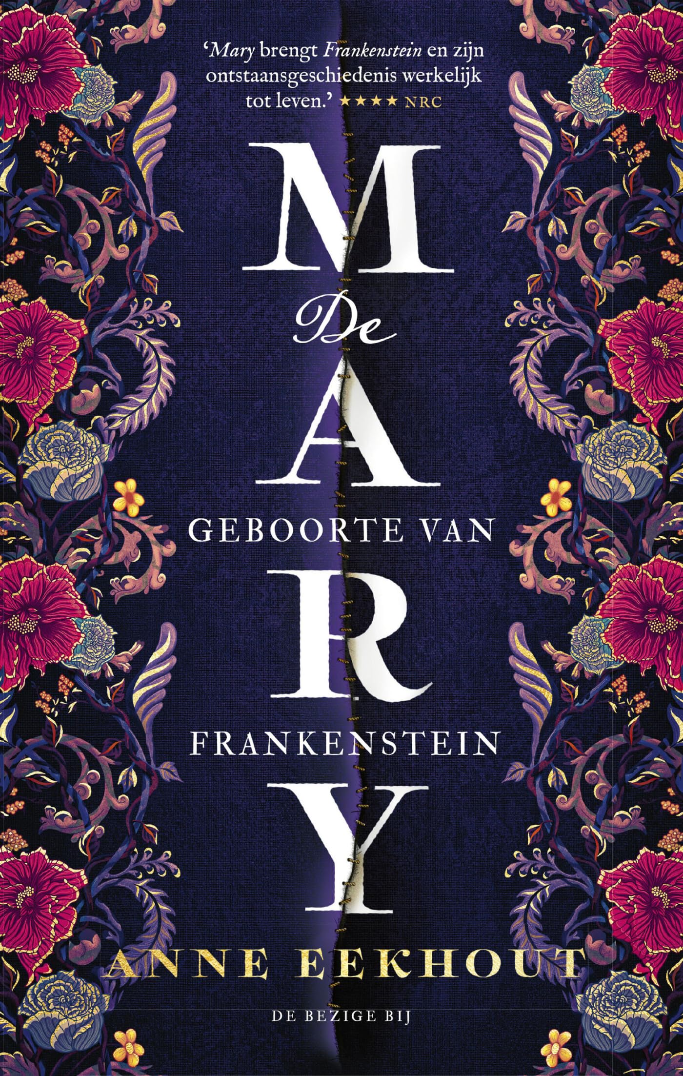 Mary: de geboorte van Frankenstein : roman Contemporary literature