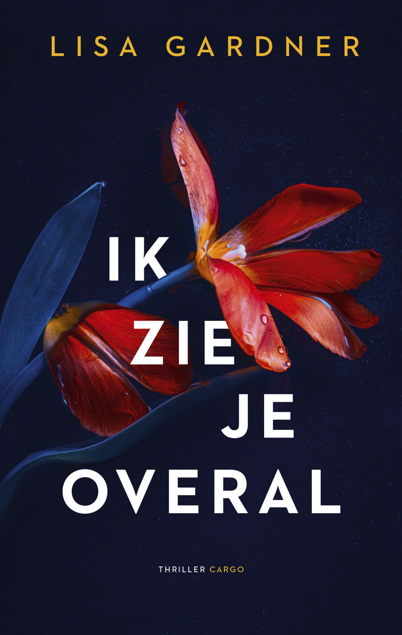 Ik zie je overal (Frankie Elkin, 3) Contemporary literature