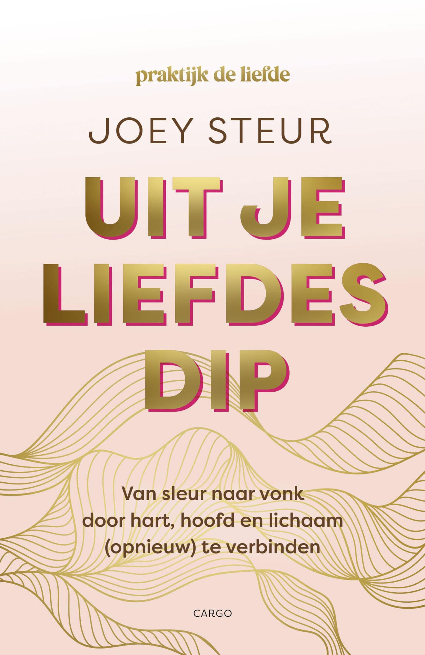 Uit je liefdesdip: herontdek de liefde met hoofd, hart en lichaam book