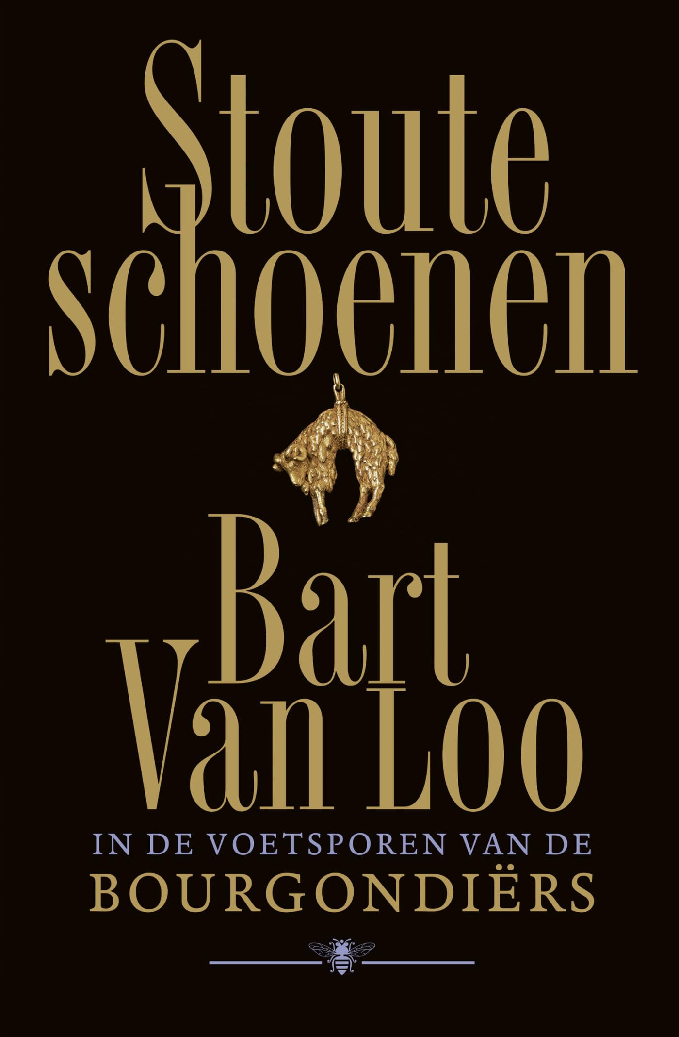Stoute schoenen: in de voetsporen van de Bourgondiërs Leisure, Home & Garden