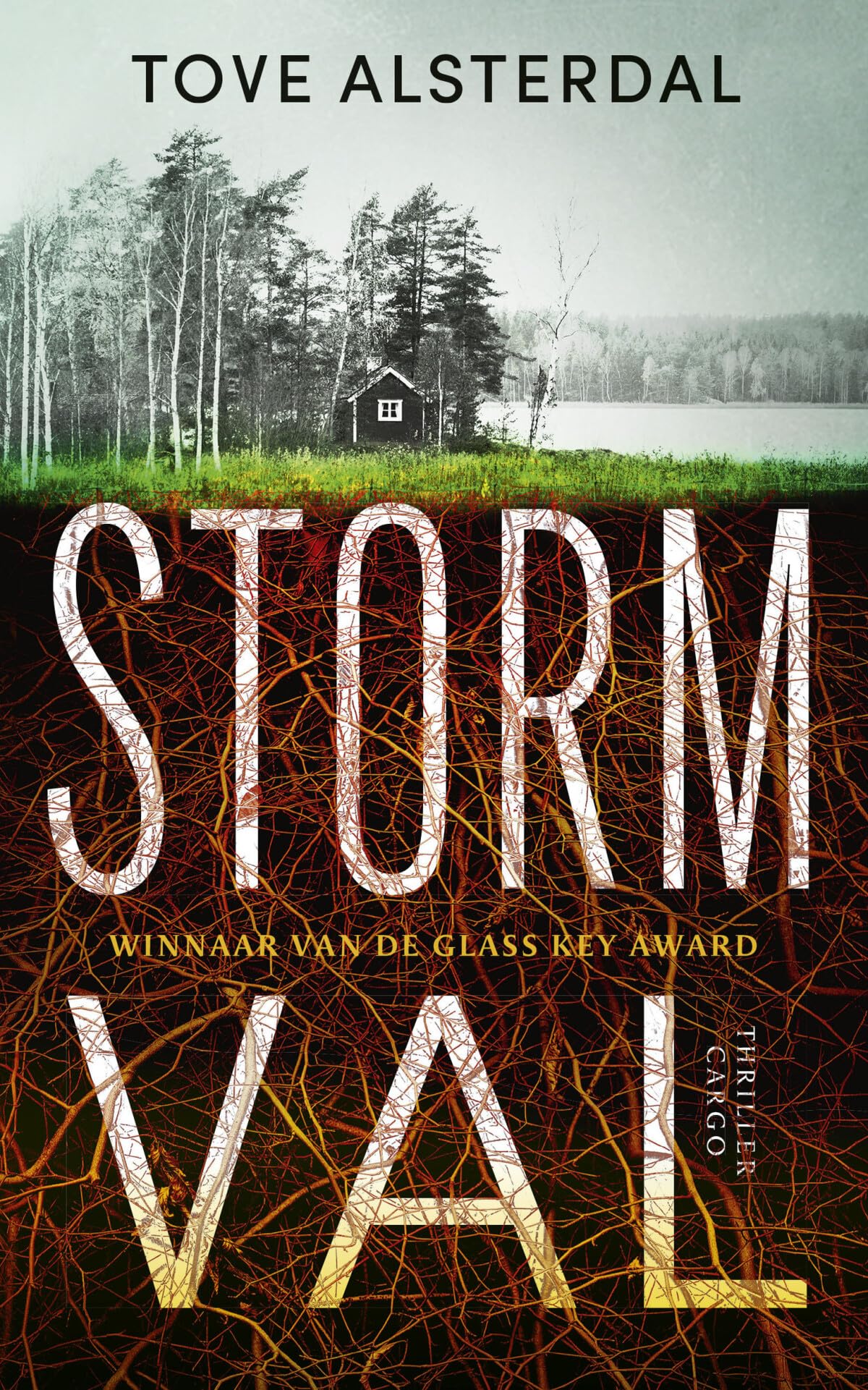 Stormval (Eira Sjödin, 1) Contemporary literature Books