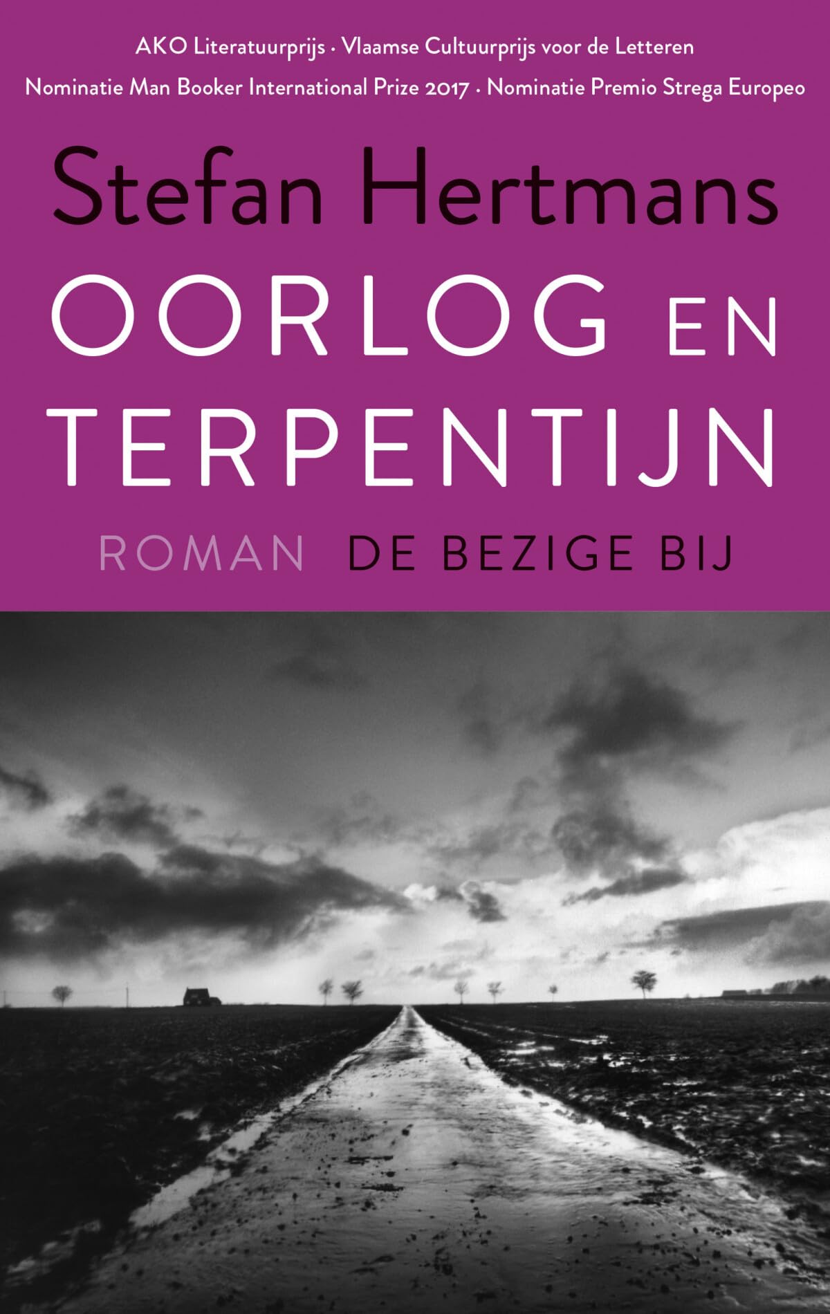 Oorlog en terpentijn: roman Contemporary literature