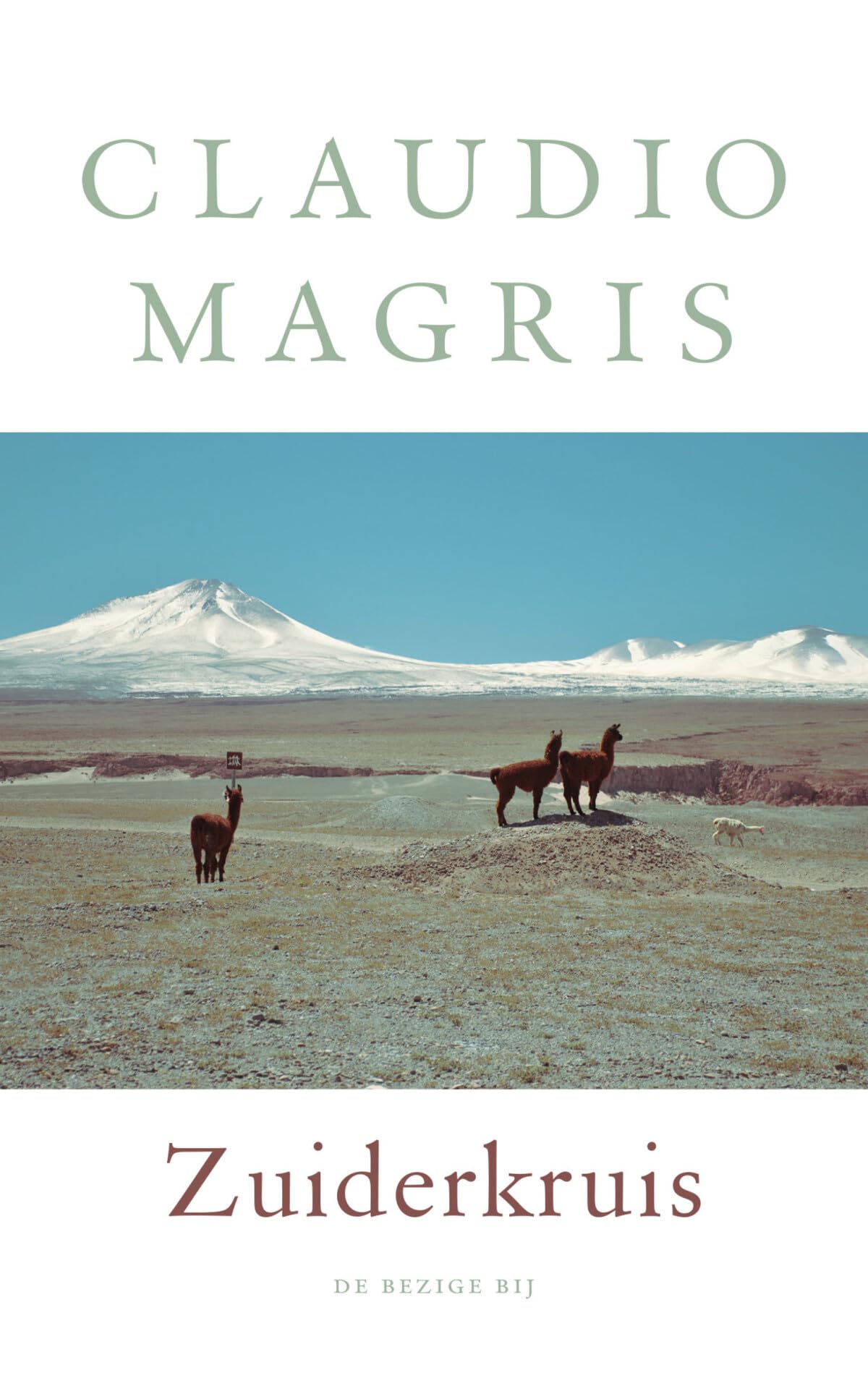 Zuiderkruis: drie ware en onwaarschijnlijke levens book