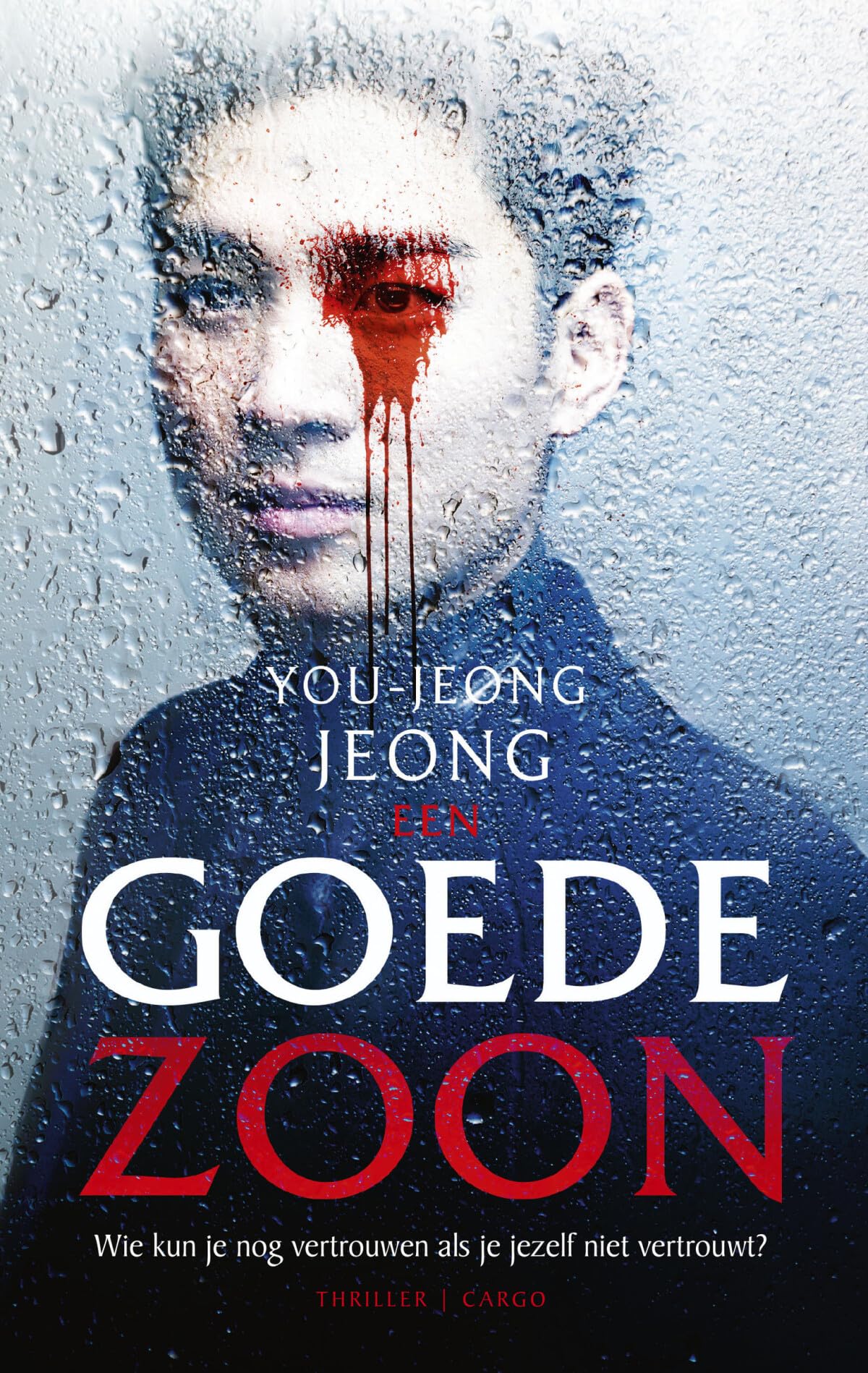 Een goede zoon book