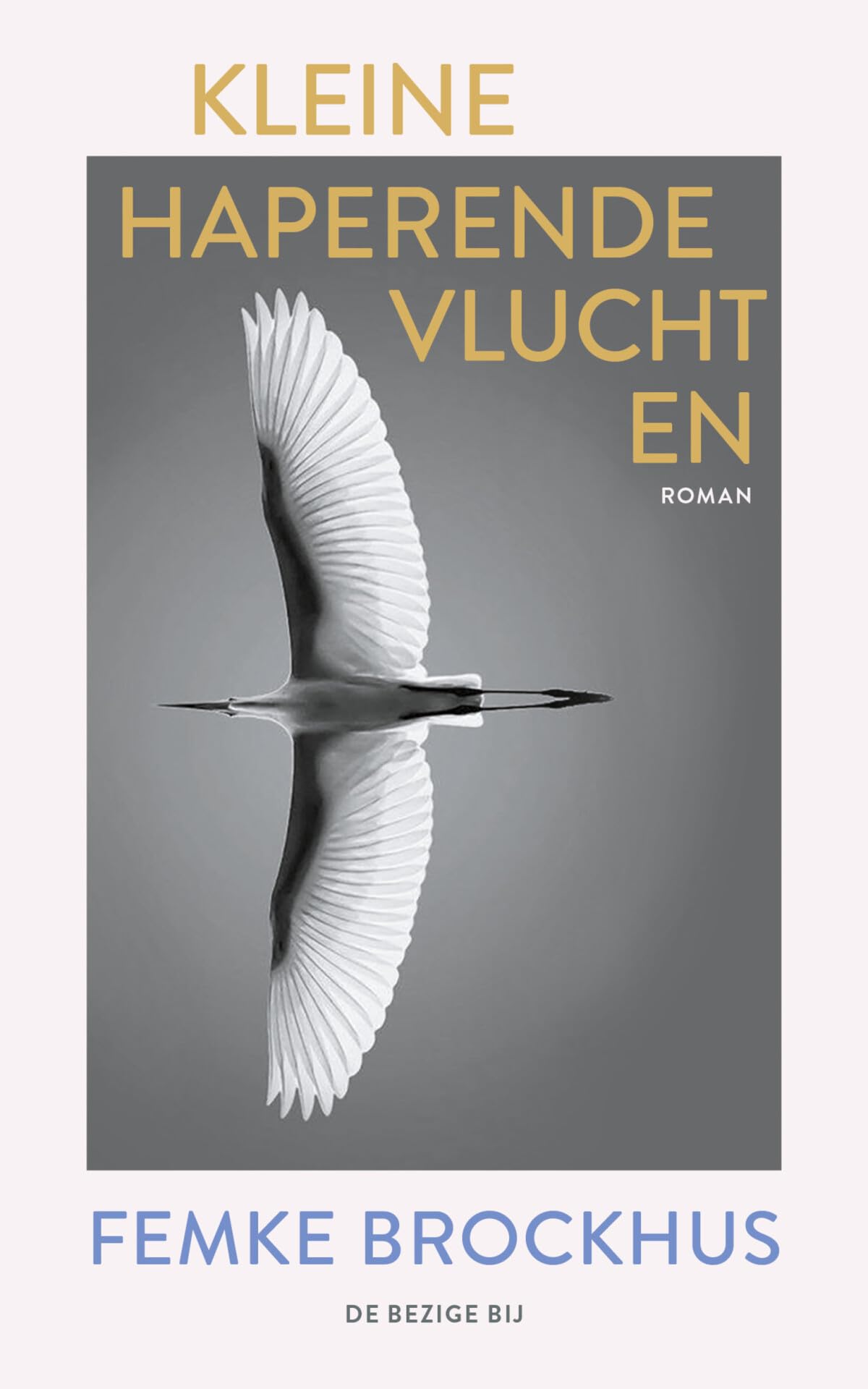 Kleine haperende vluchten: roman Contemporary literature