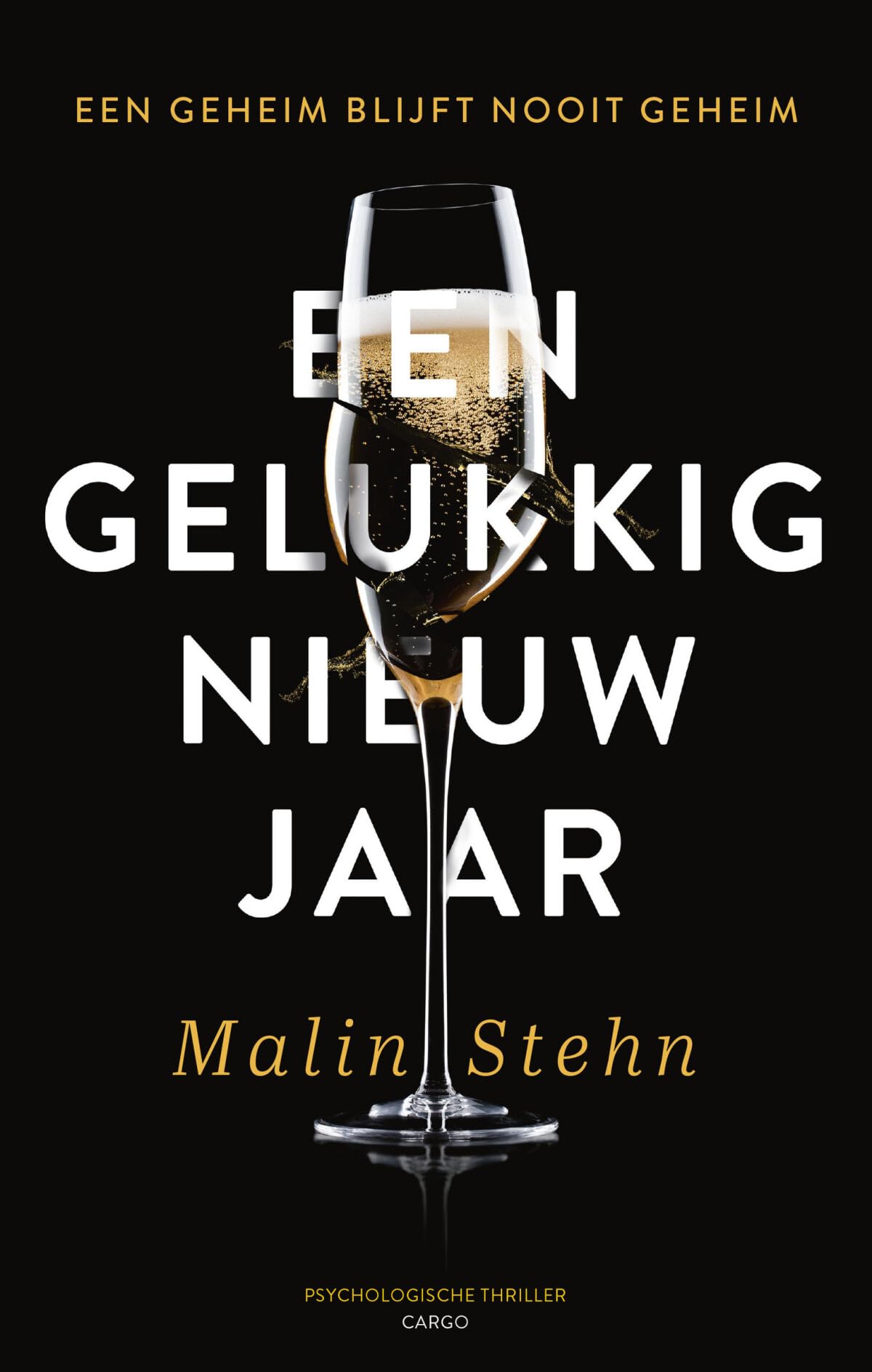 Een gelukkig nieuwjaar book