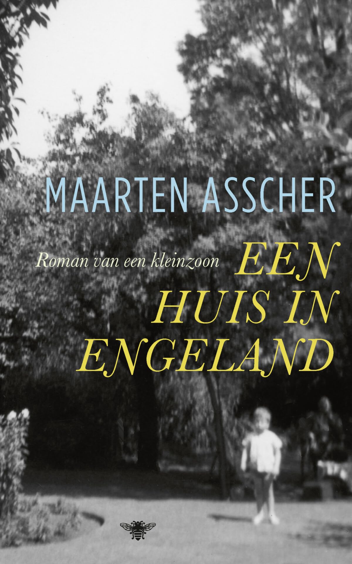 Een huis in Engeland: roman van een kleinzoon Contemporary literature