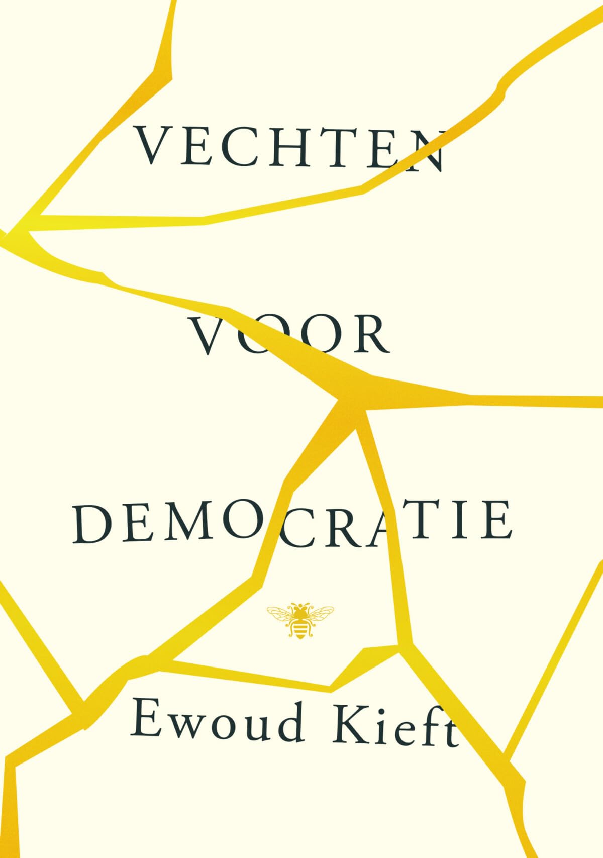 Vechten voor democratie book