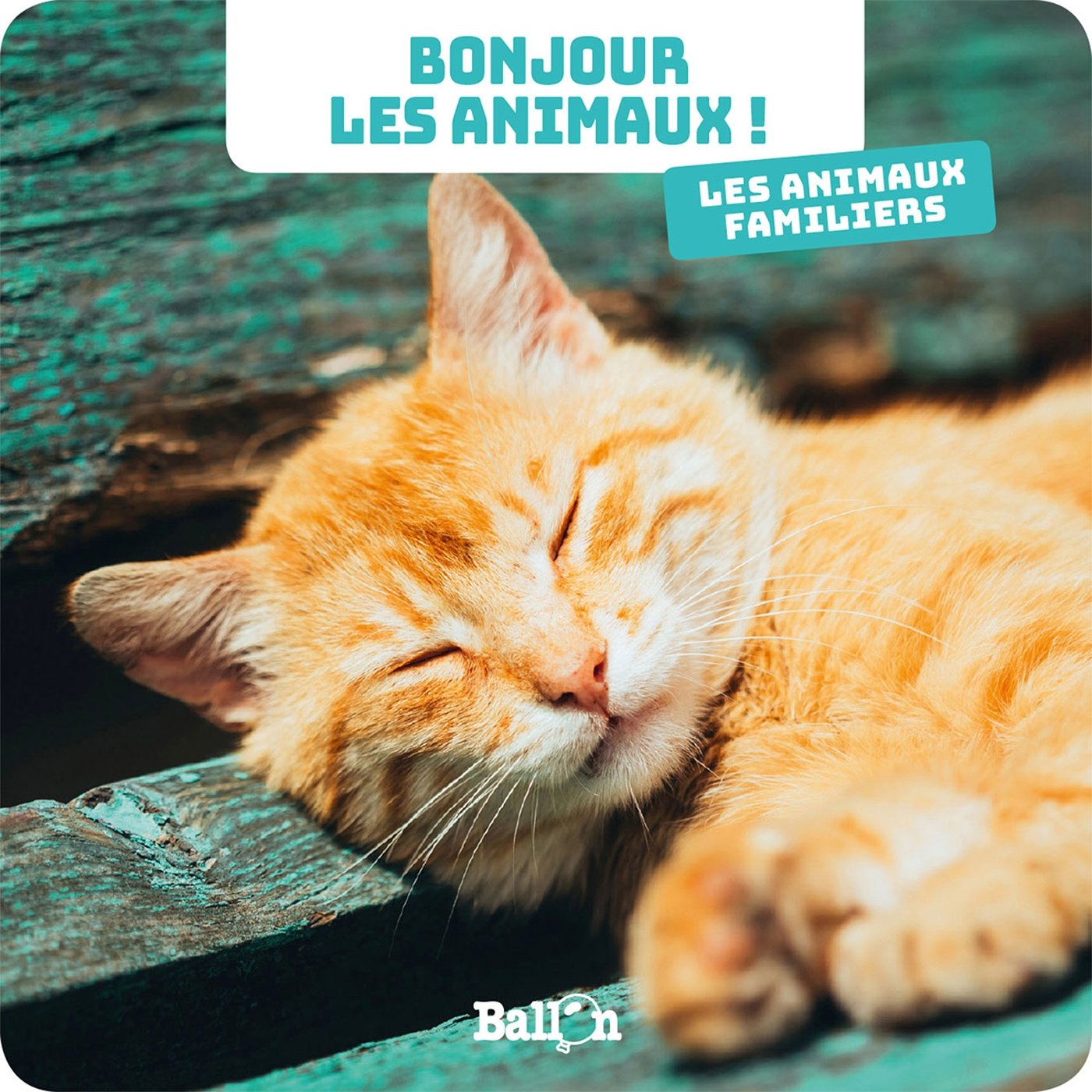 Bonjour les animaux : Les animaux familiers book