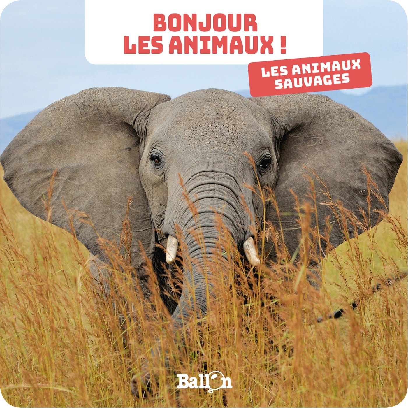Les animaux sauvages (Bonjour les animaux, 1) Parents & Children