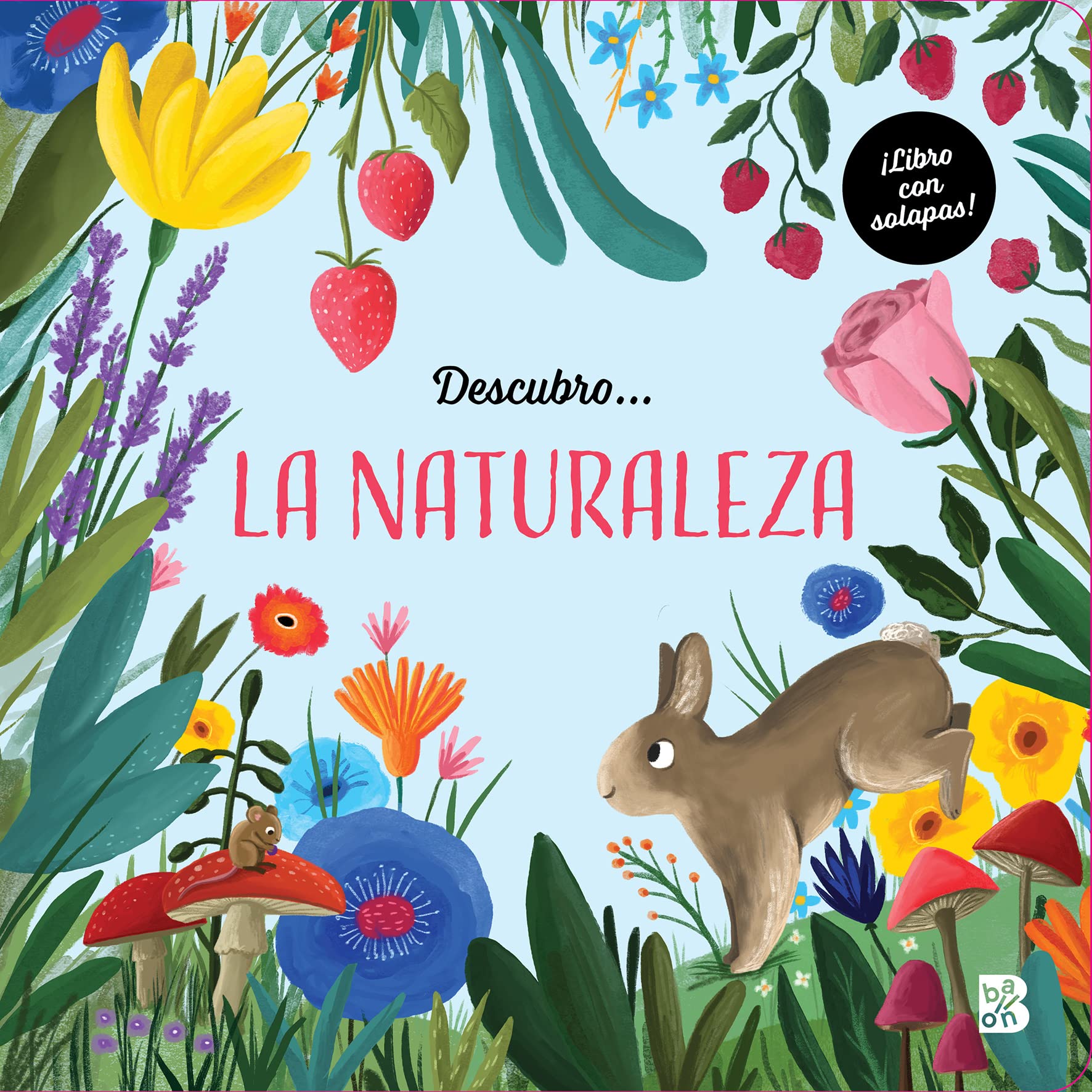 DESCUBRO LA NATURALEZA (DESCUBRO LIBROS CON SOLAPAS) Parents & Children