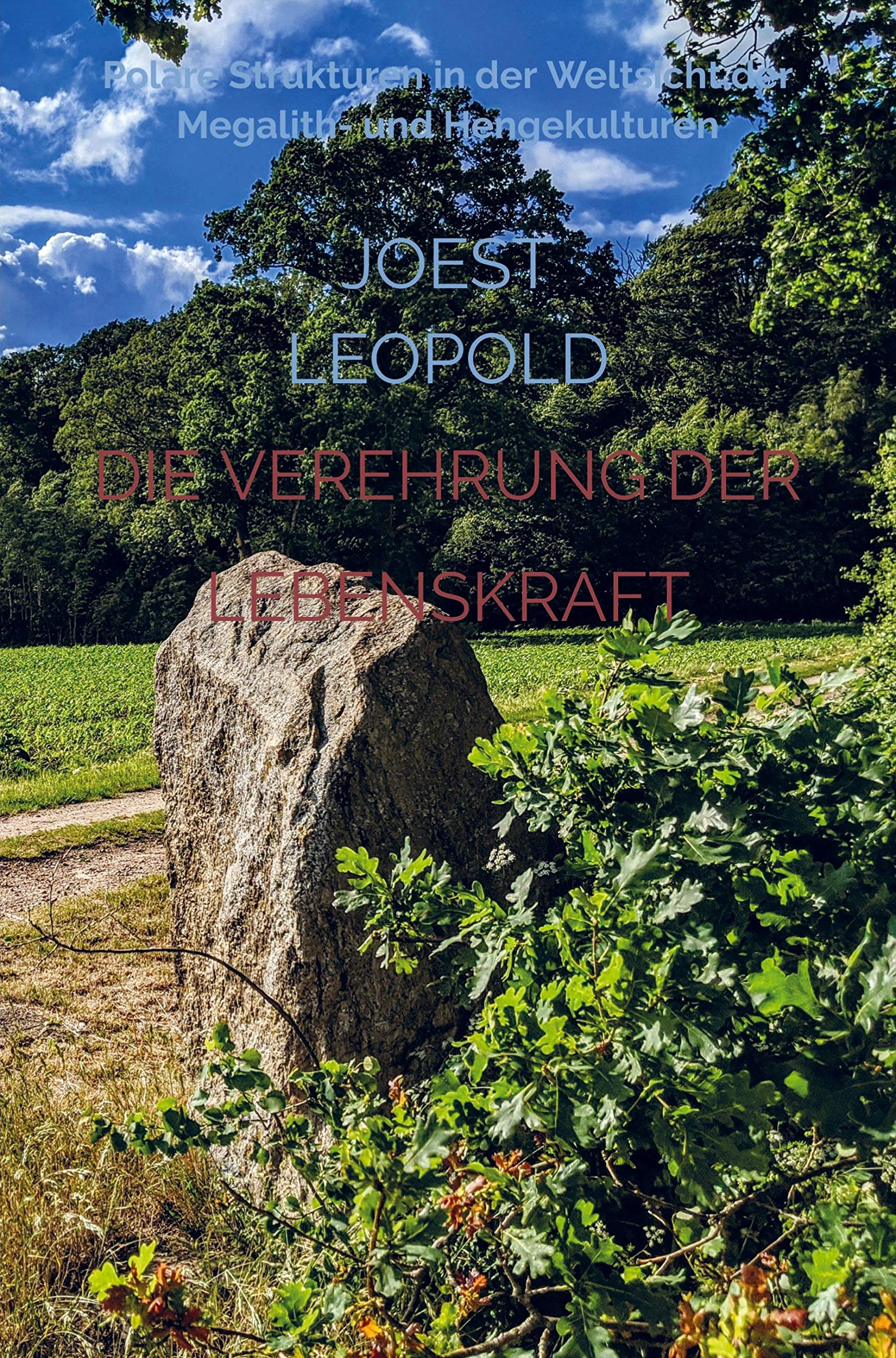 Die Verehrung der Lebenskraft: Polare Strukturen in der Weltsicht der Megalith- und Hengekulturen Religion & Esotericism