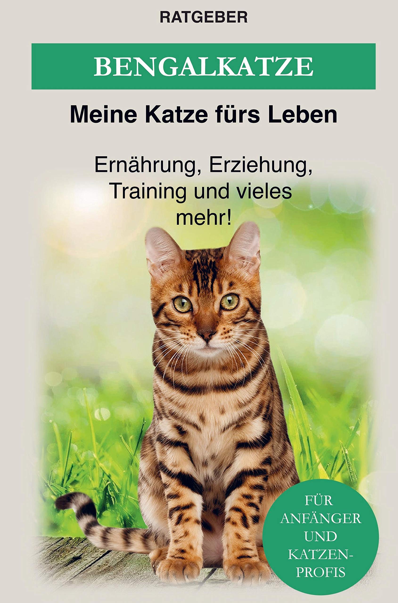 Bengalkatze: Erziehung, Ernährung und Pflege von Bengal Katzen Pets