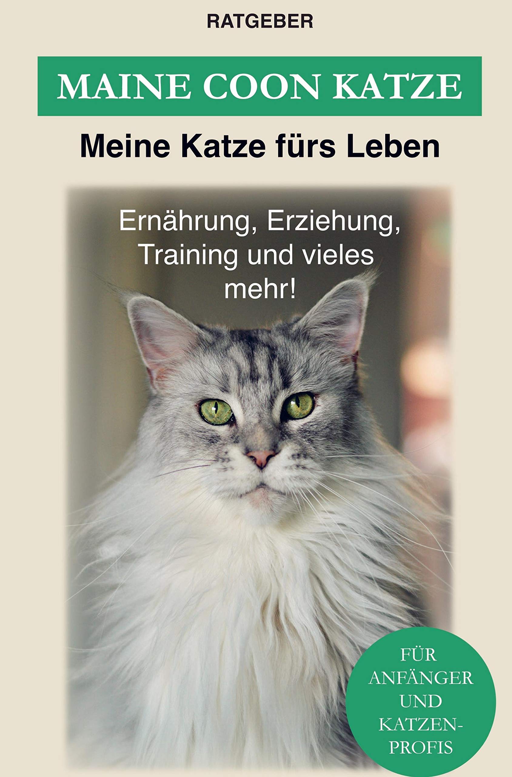 Maine Coon Katze: Erziehung, Ernährung und Pflege der Maine Coon Pets