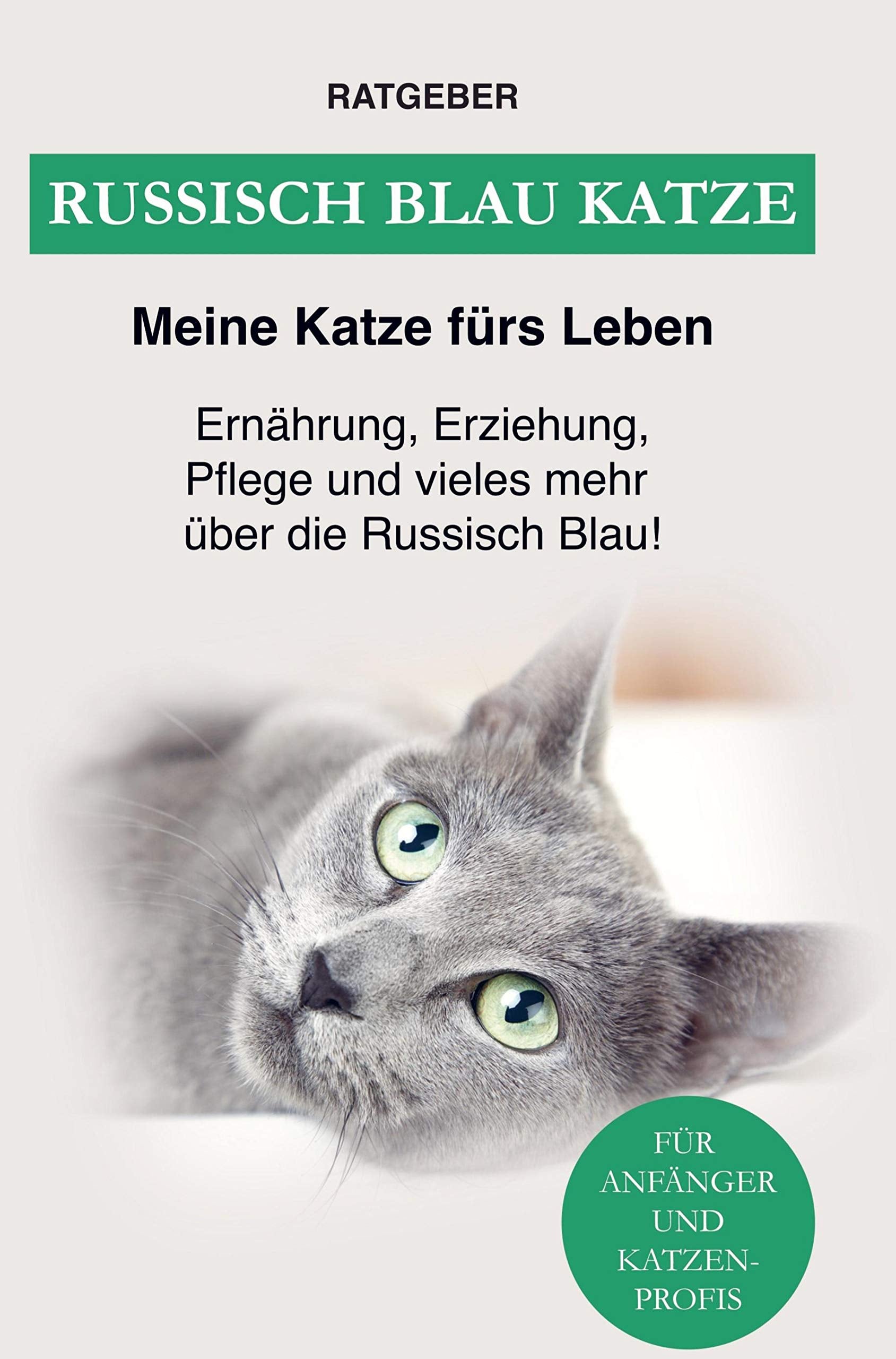 Russisch Blau Pets