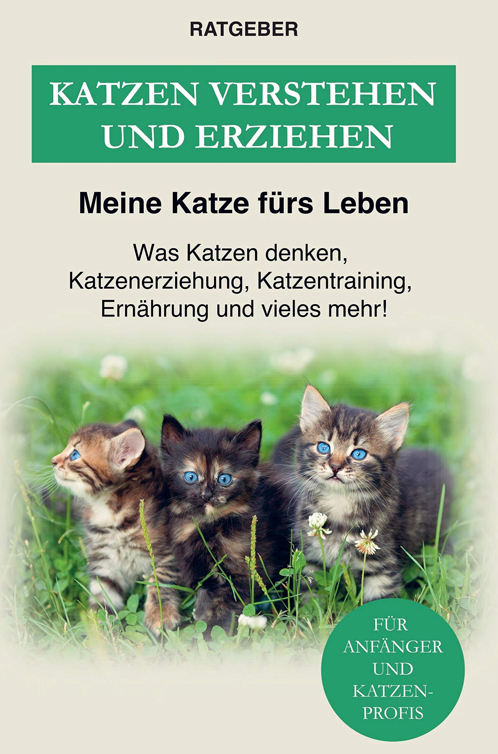 Katzen erziehen und verstehen: Was Katzen denken, Katzenerziehung, Katzentraining, Ernährung und einiges mehr - Der Katzenratgeber Pets