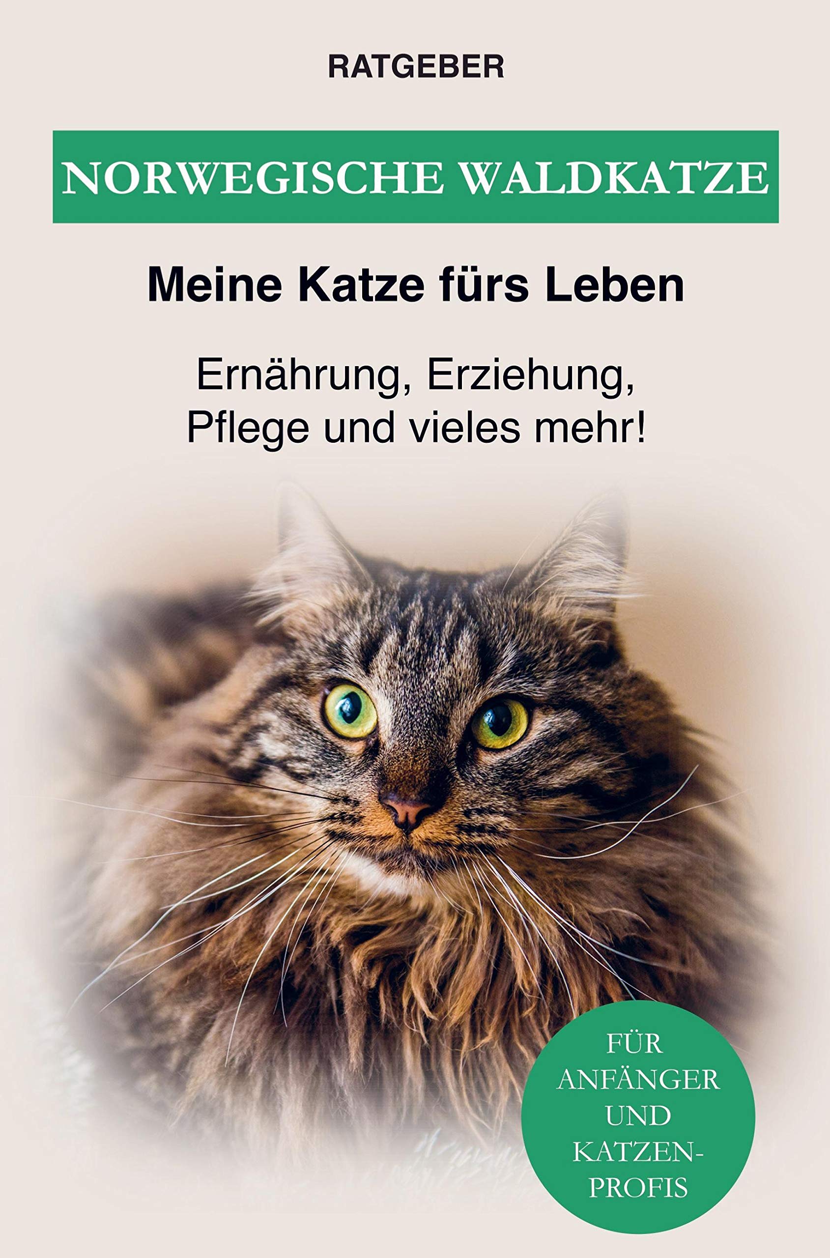 Norwegische Waldkatze Pets